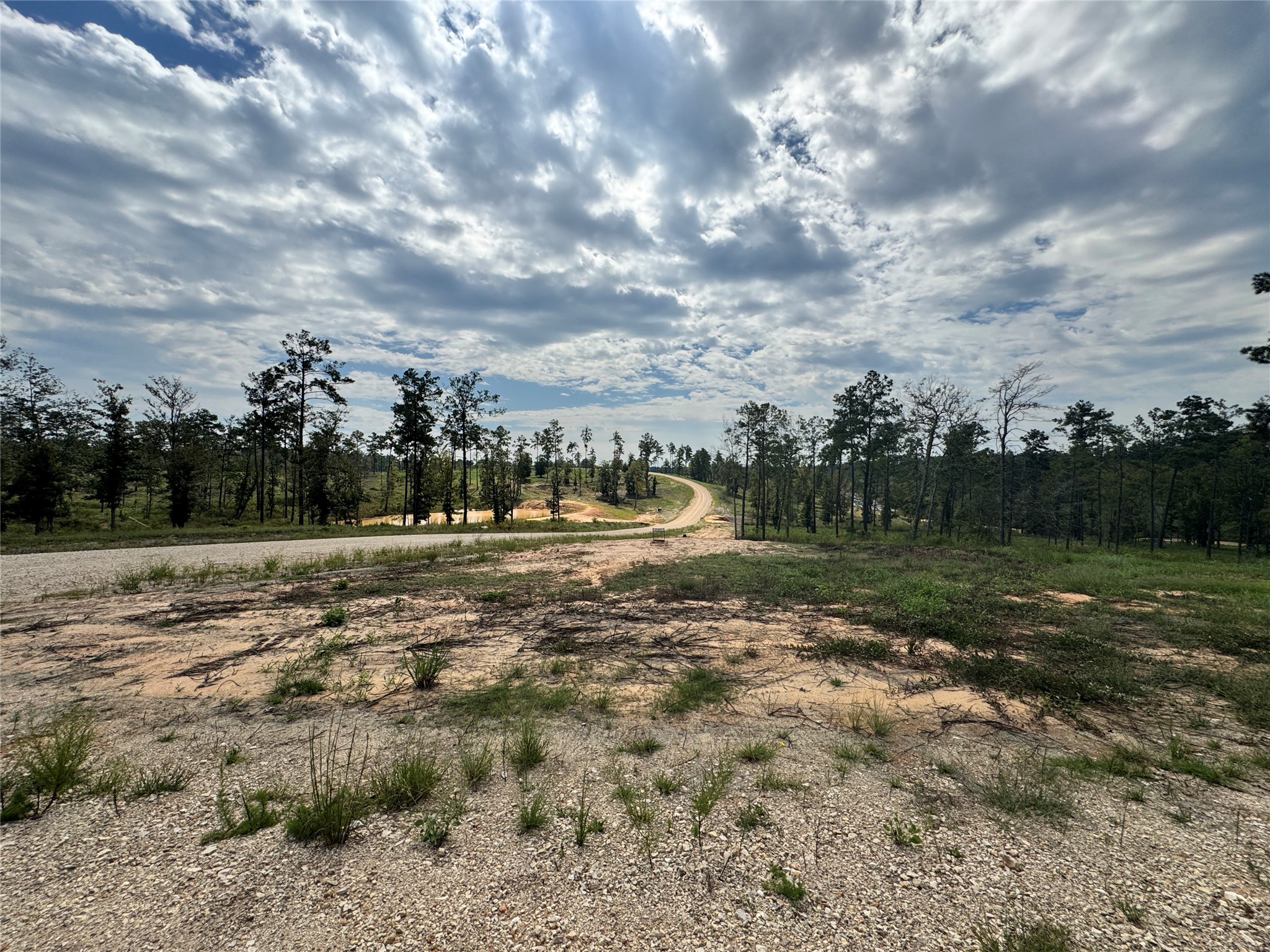 123 Anna Grace Property Photo 15