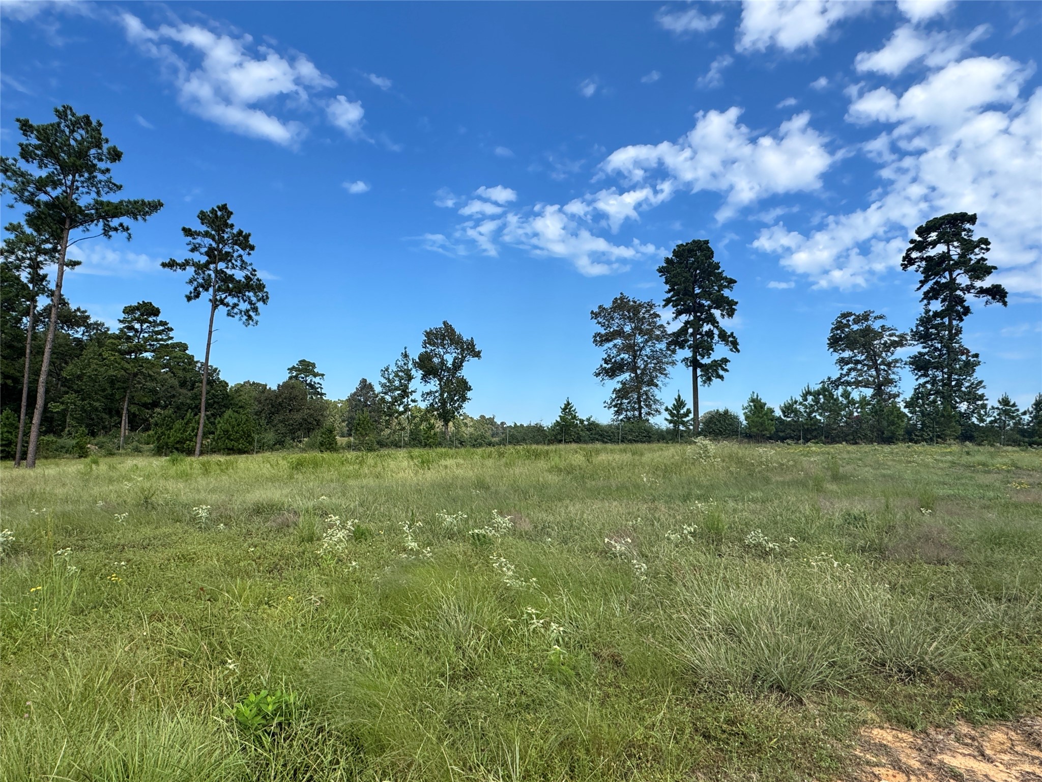 123 Anna Grace Property Photo 17