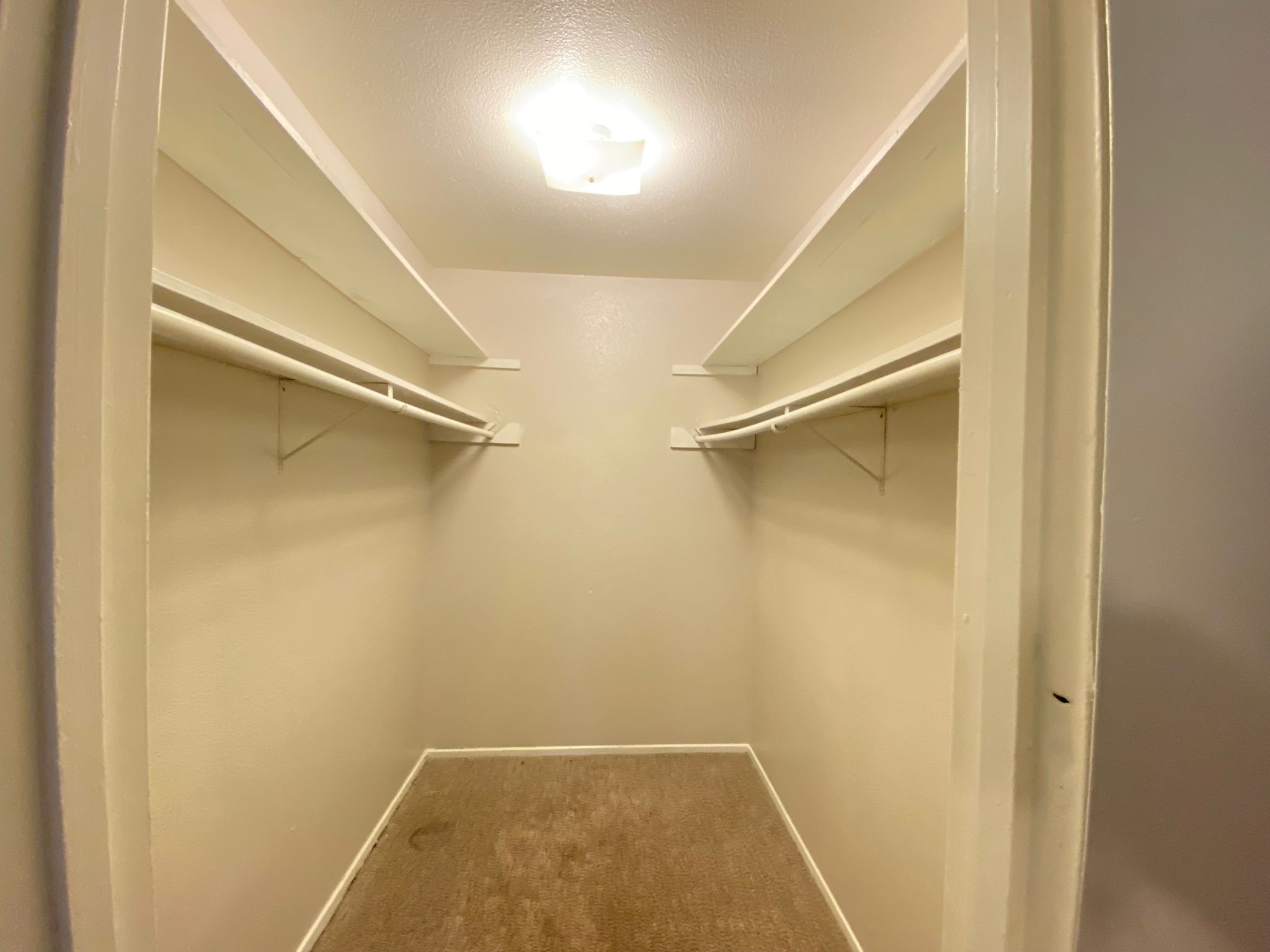 1004 Allena Drive 3 Property Photo 5