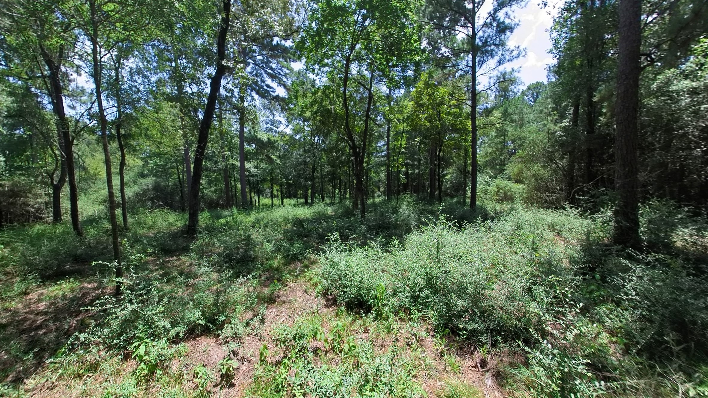 4a-11-55 Sundog Road Property Photo 5