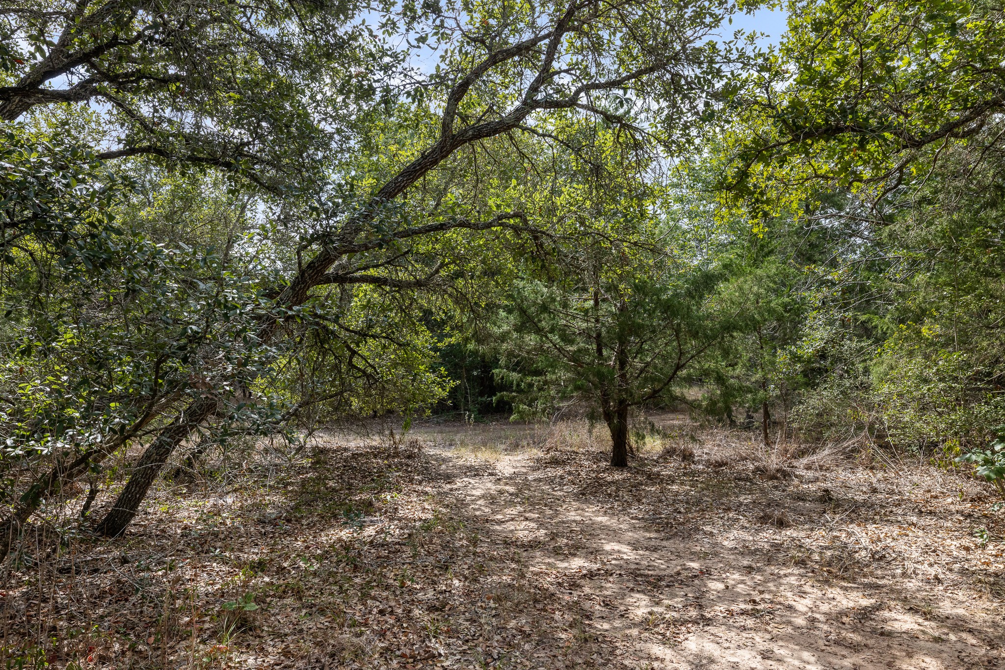 455 Sandy Lane Property Photo 17