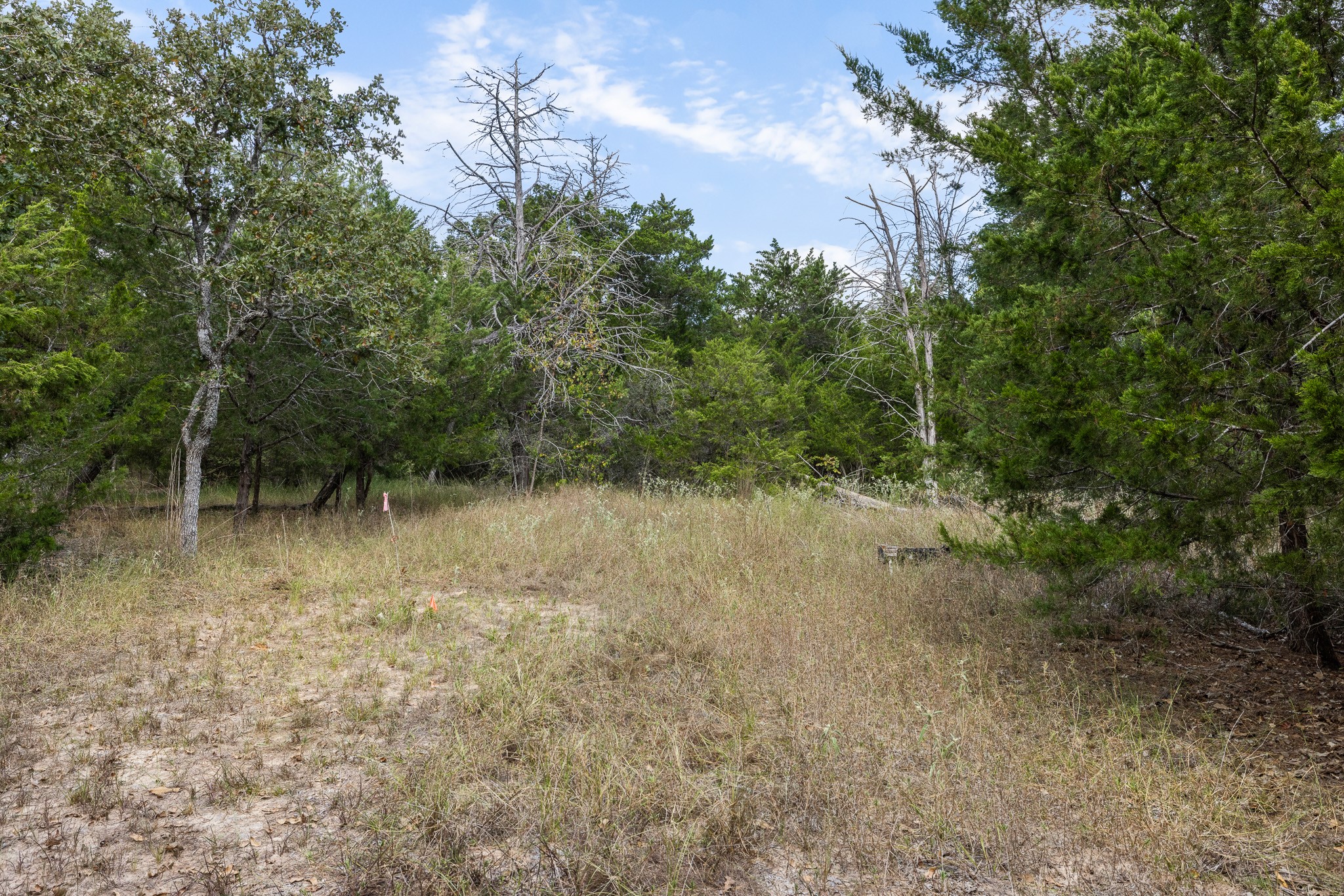 455 Sandy Lane Property Photo 19