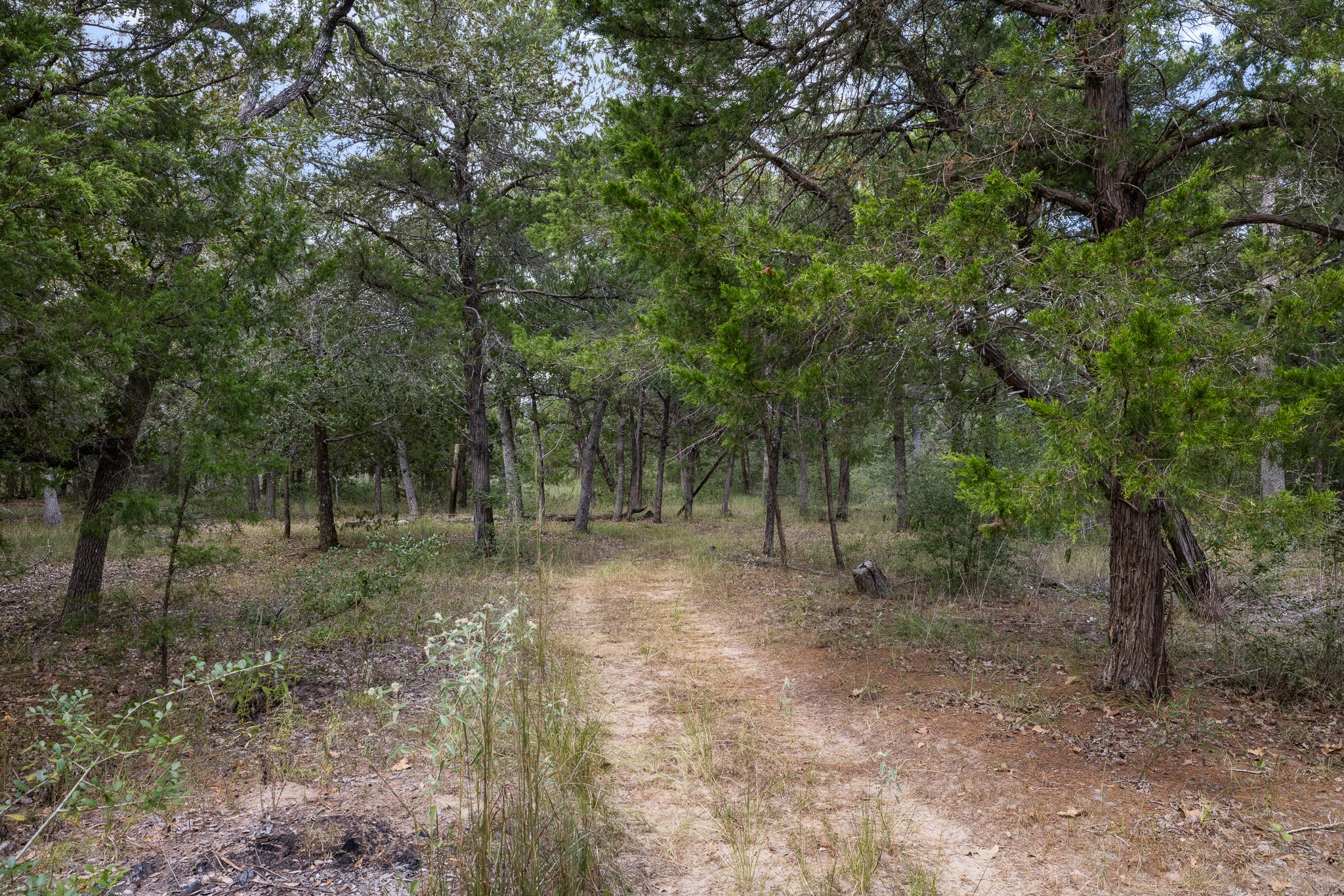 455 Sandy Lane Property Photo 22