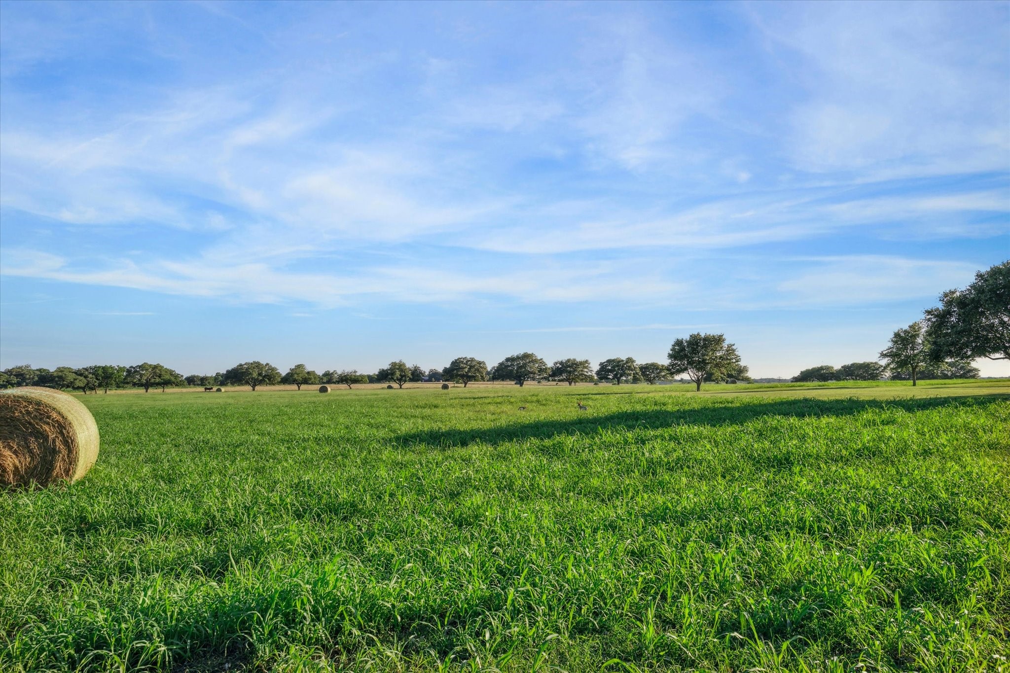 2817 Leonhardt Property Photo 3