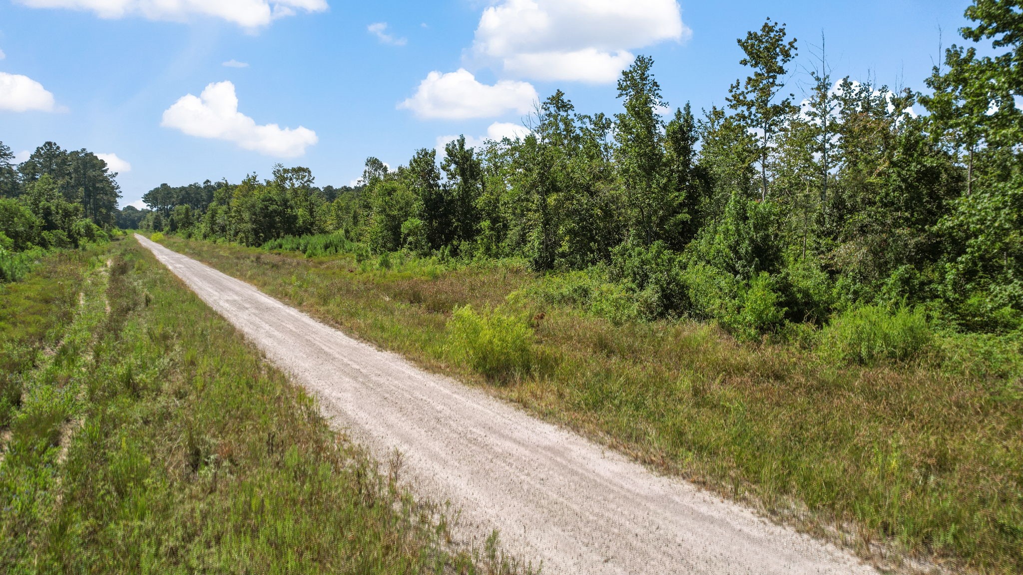 Tbd County Road 2235 Property Photo 10