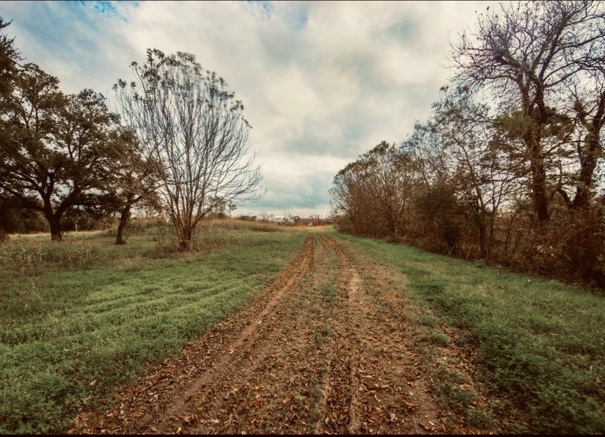 12215 Foxton Road Property Photo 4