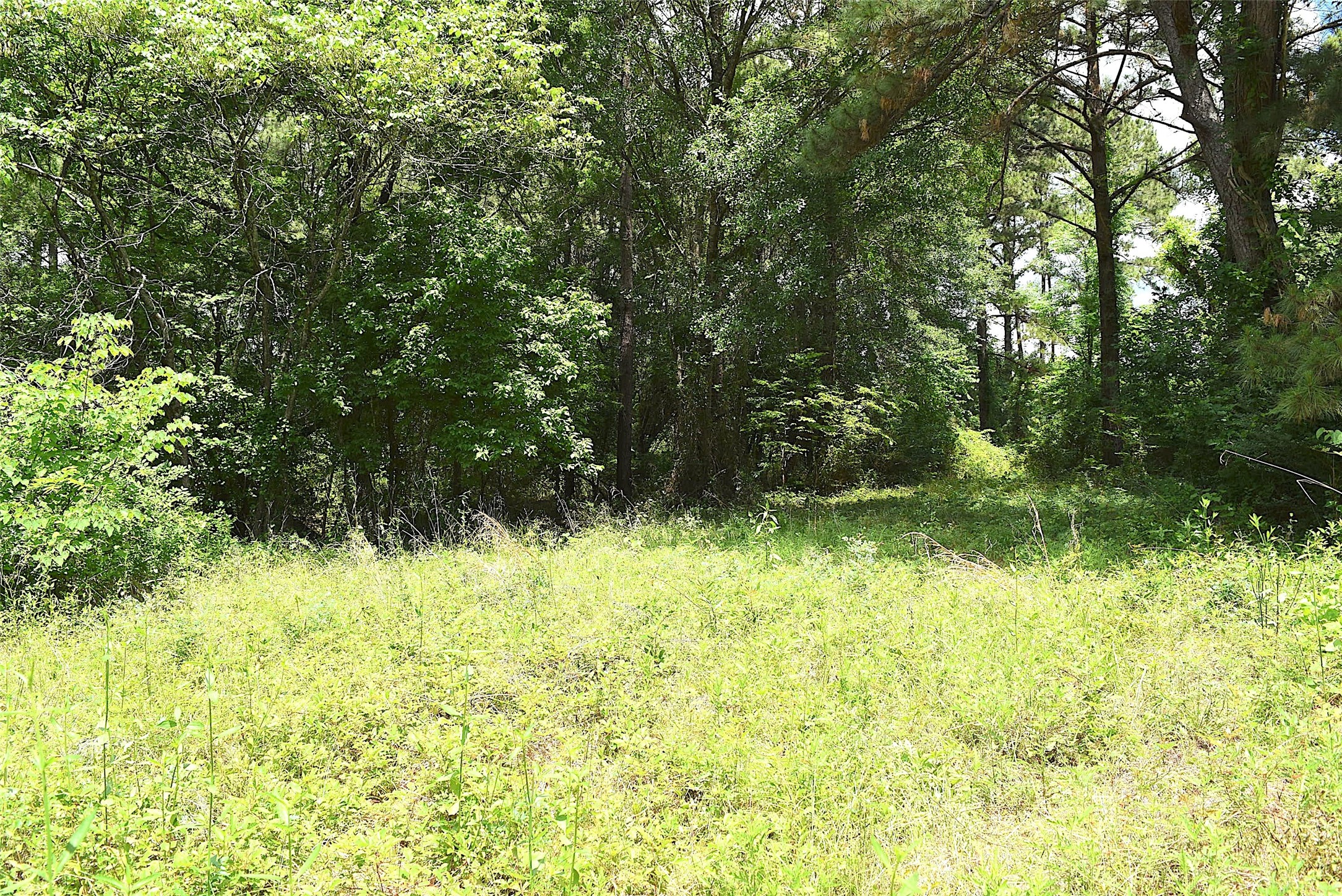 4414 Shady Lane Property Photo 4