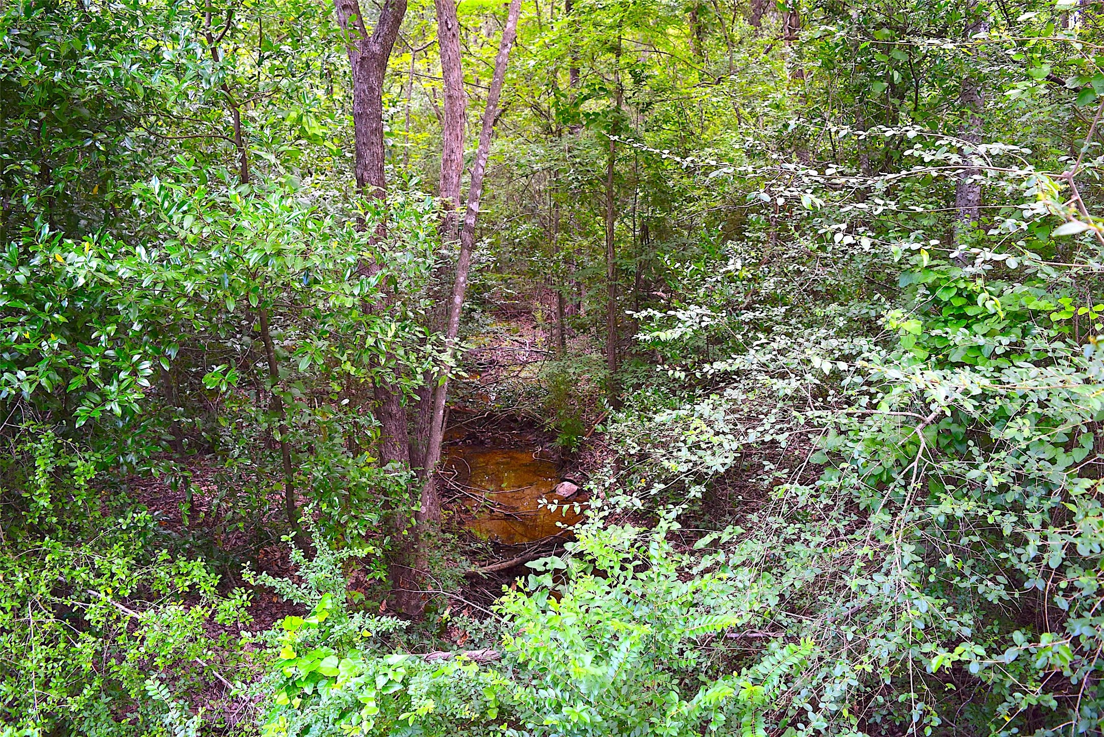 4414 Shady Lane Property Photo 9