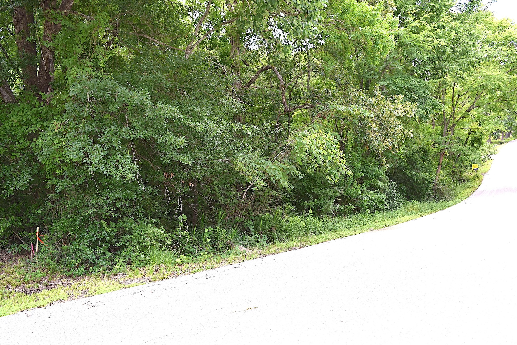 4414 Shady Lane Property Photo 11