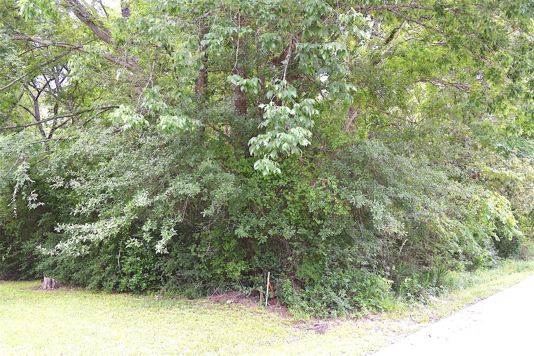 4414 Shady Lane Property Photo 12