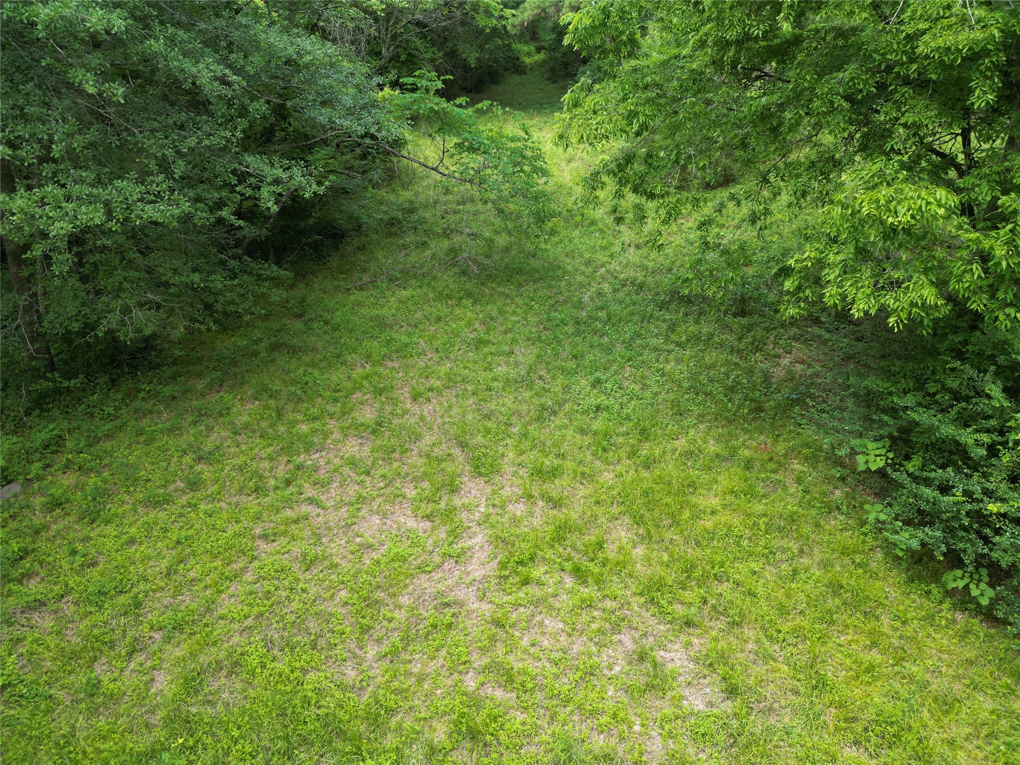 4414 Shady Lane Property Photo 15