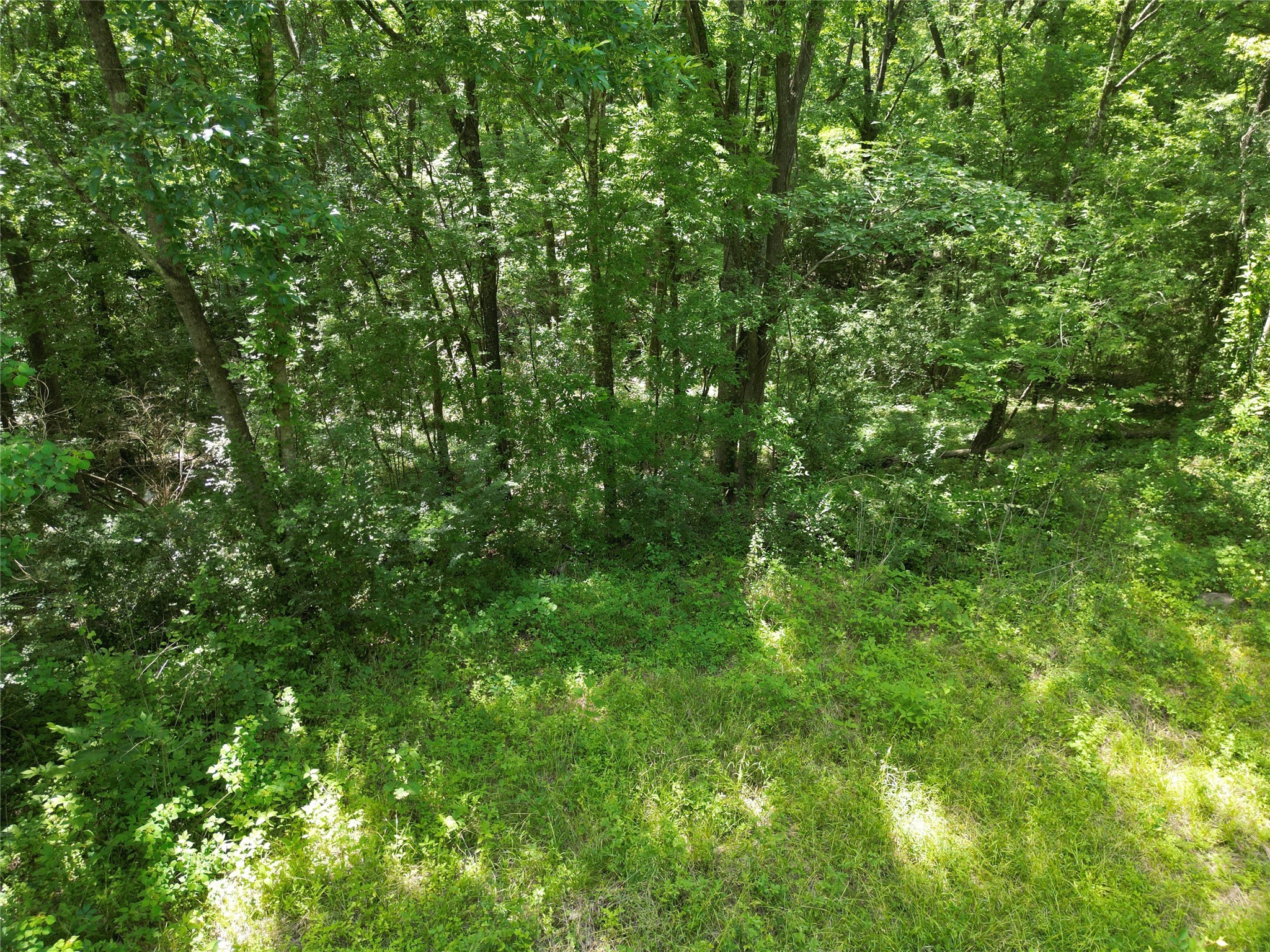 4414 Shady Lane Property Photo 17