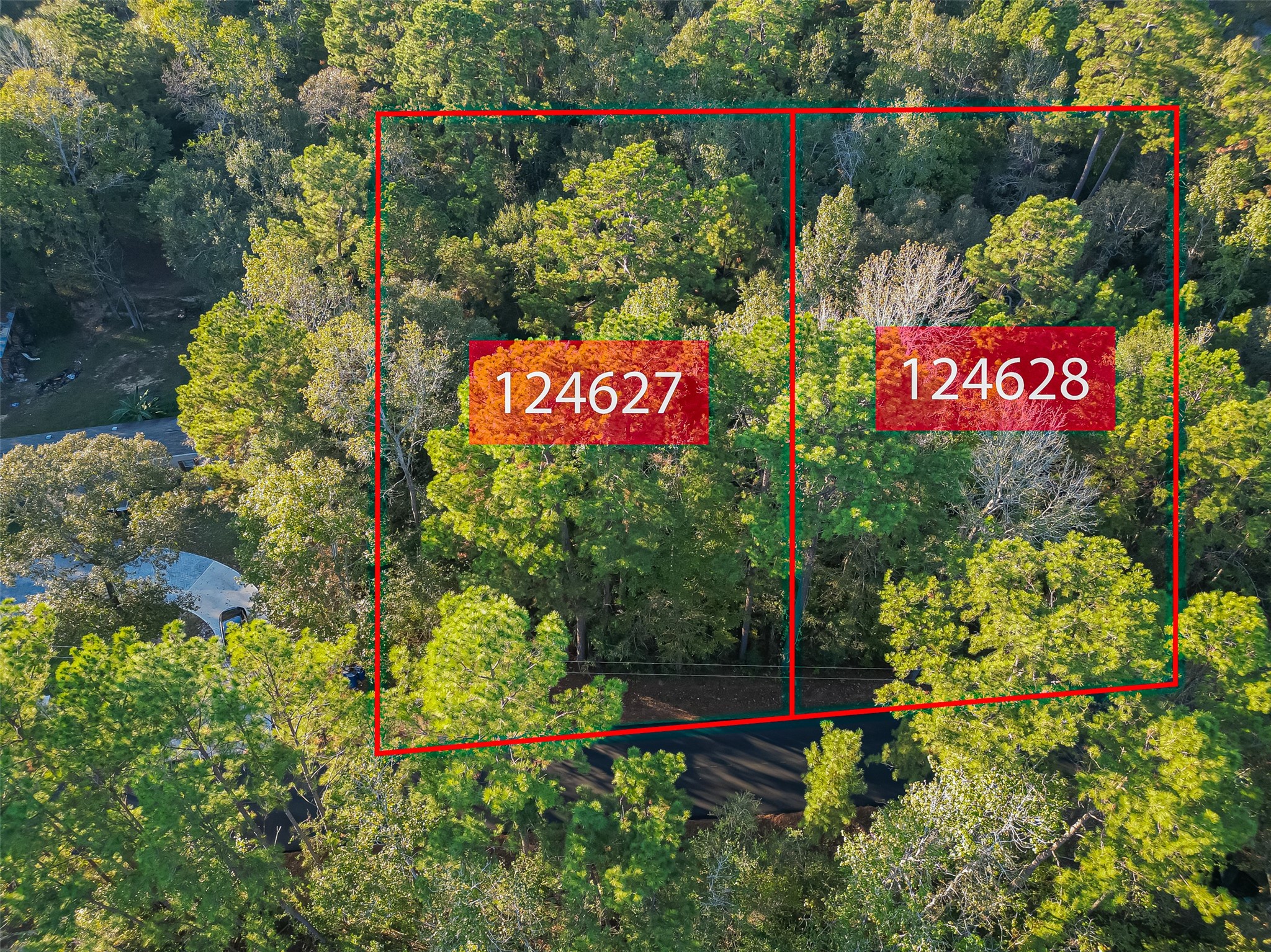 Tbd Lake Mount Pleasant Road Property Photo 1