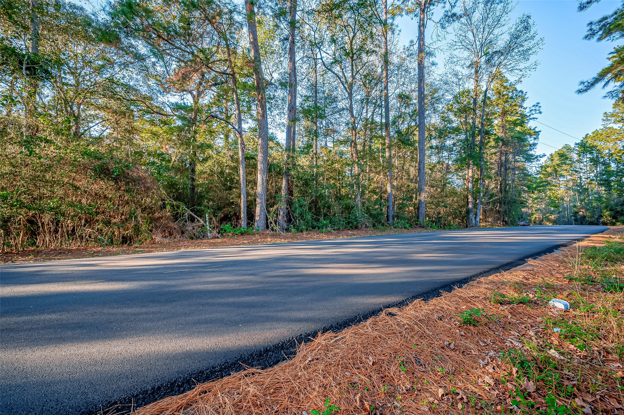 Tbd Lake Mount Pleasant Road Property Photo 3