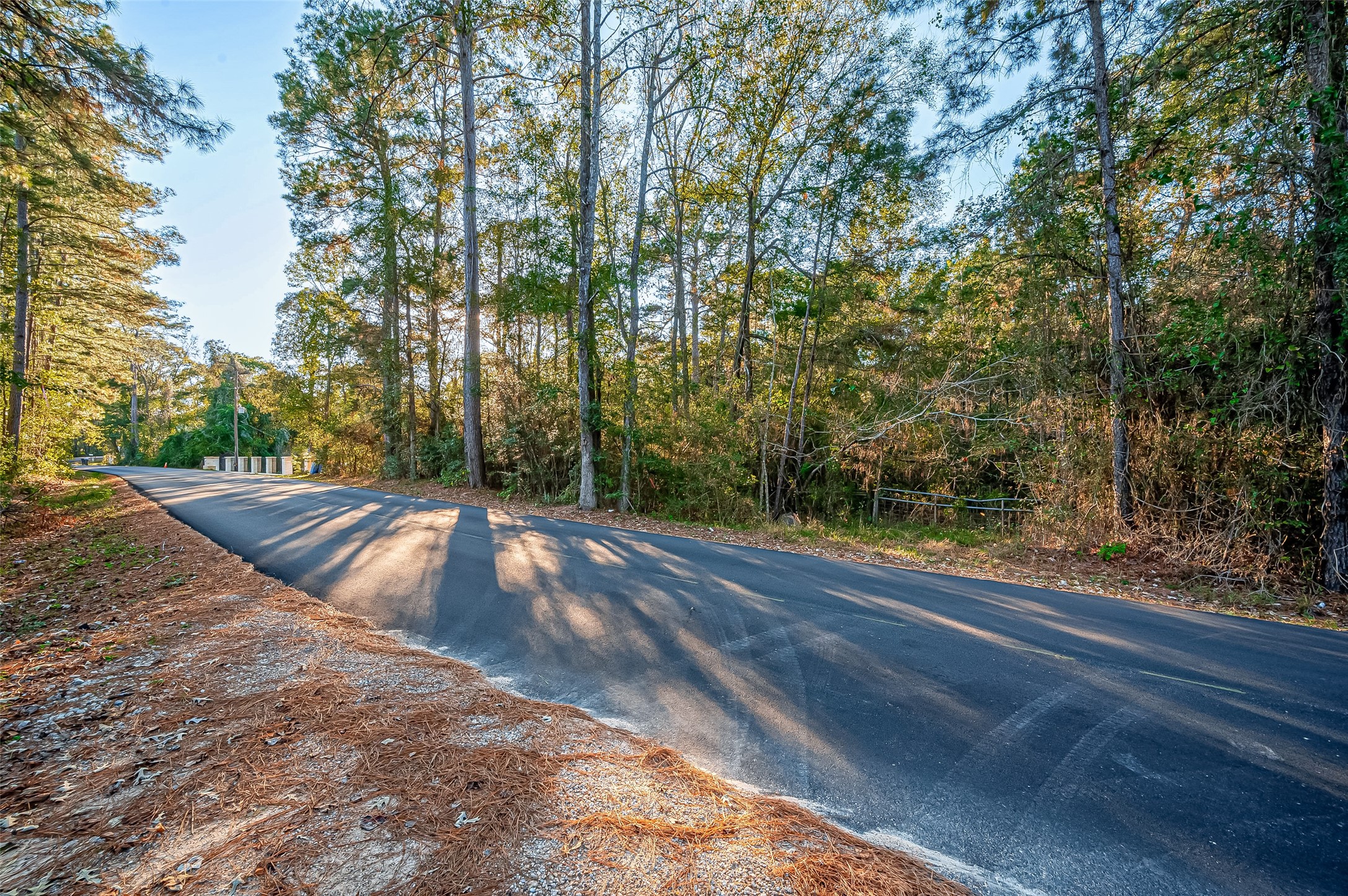 Tbd Lake Mount Pleasant Road Property Photo 4
