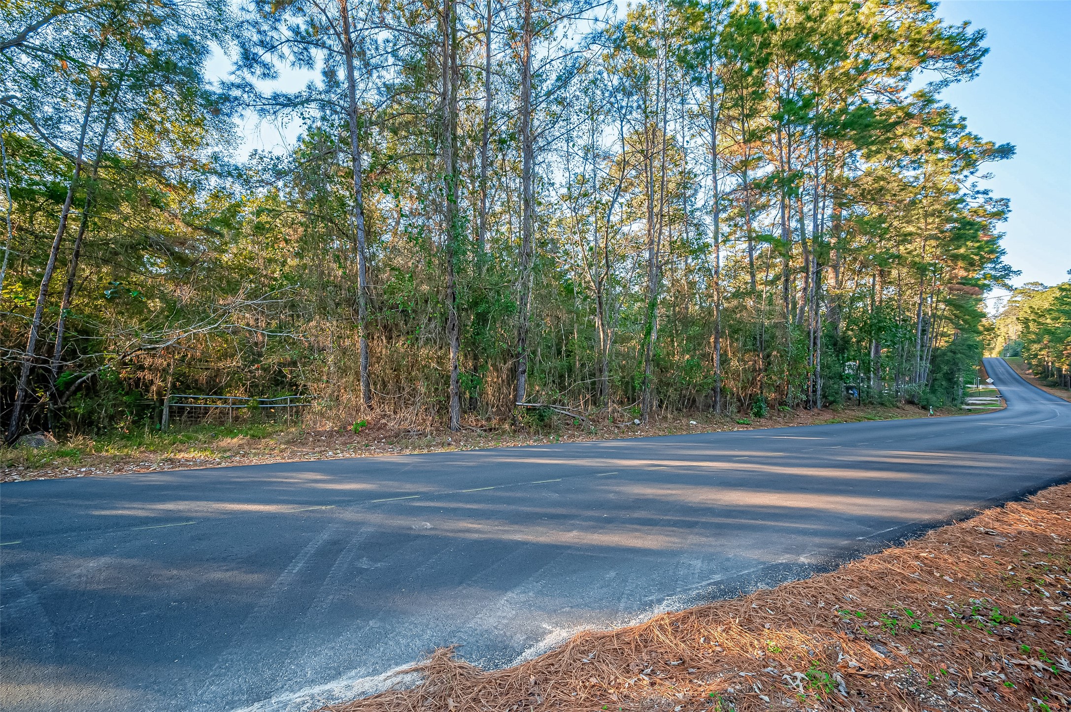 Tbd Lake Mount Pleasant Road Property Photo 5
