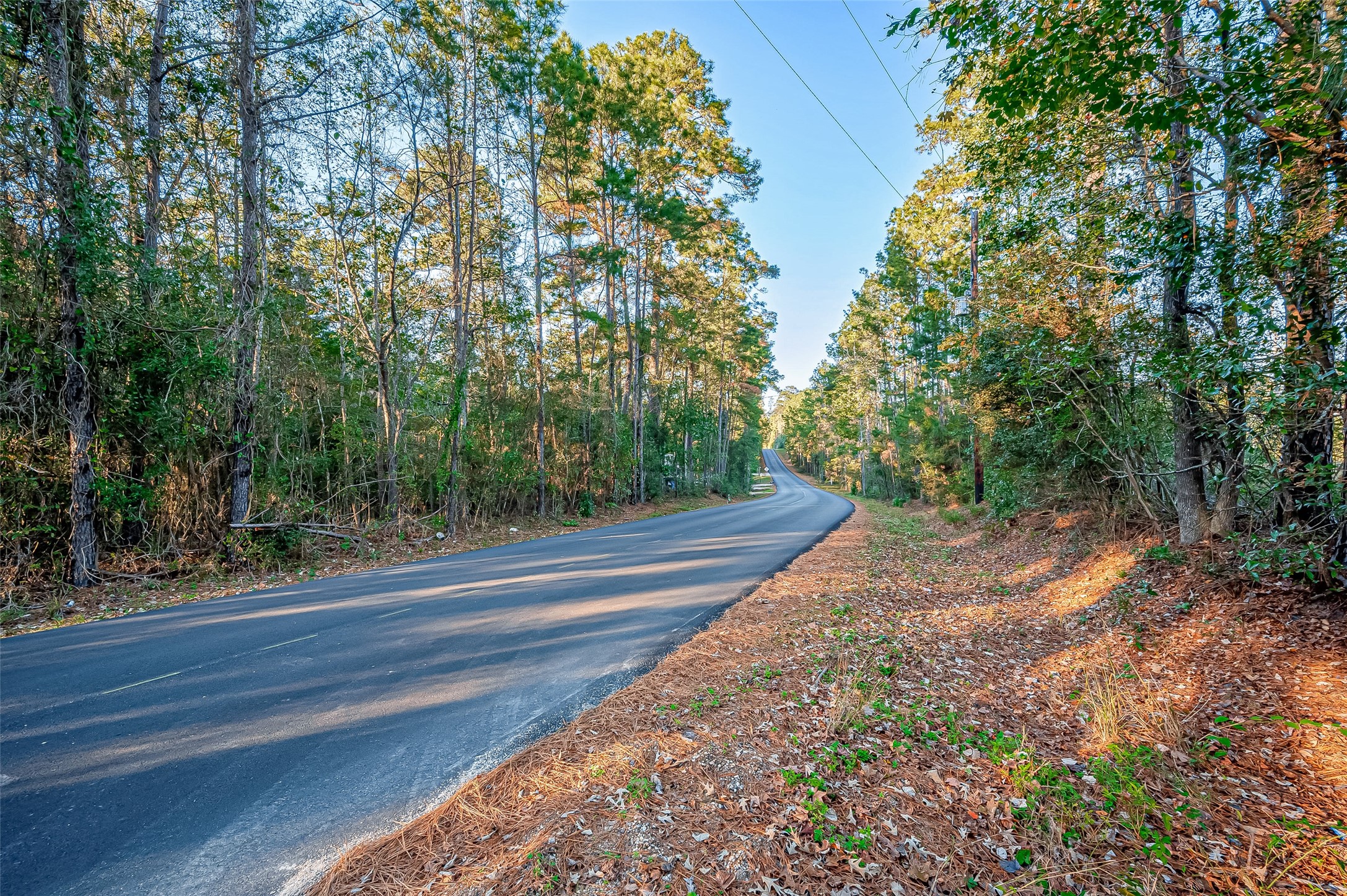 Tbd Lake Mount Pleasant Road Property Photo 6