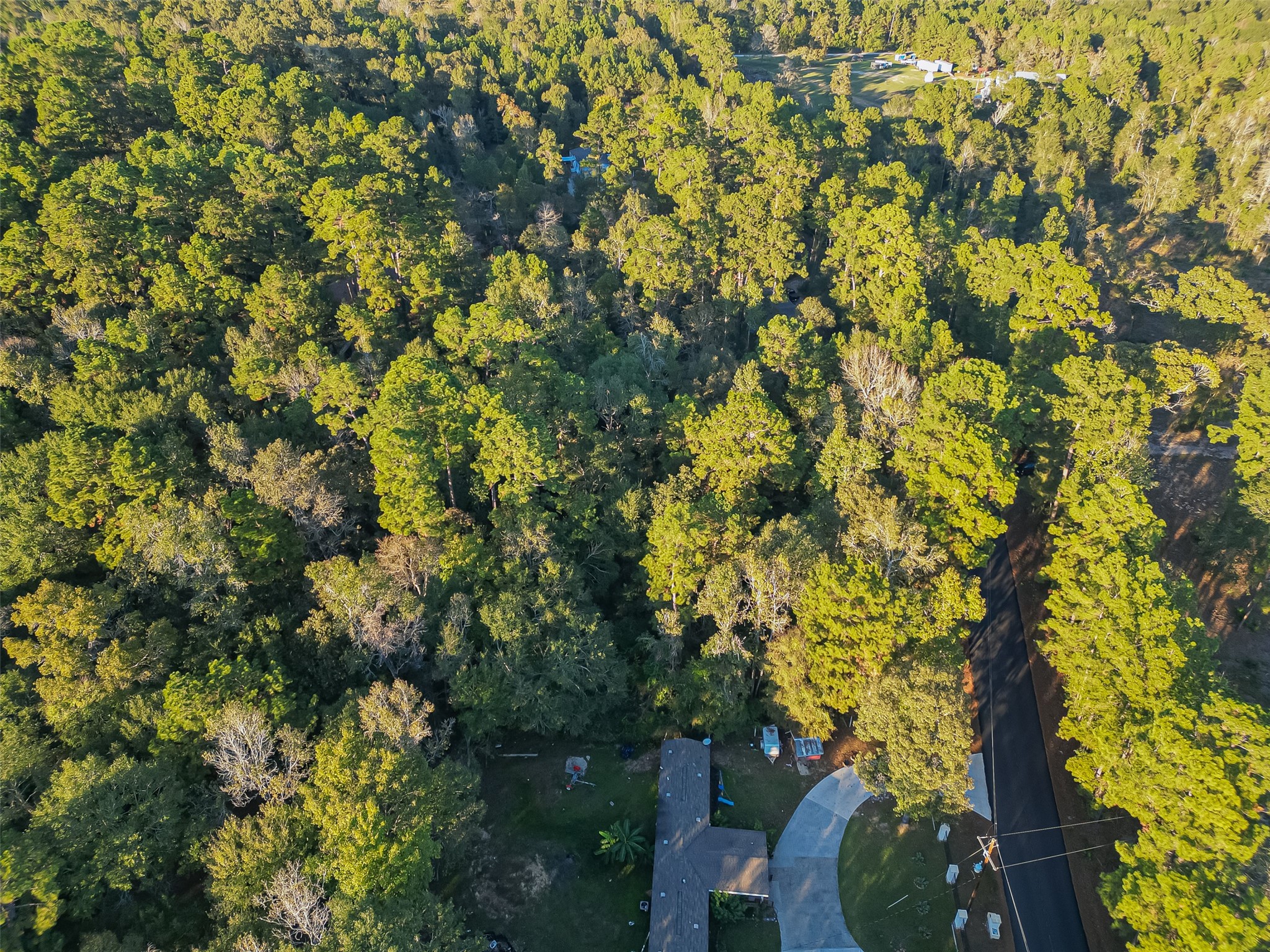 Tbd Lake Mount Pleasant Road Property Photo 7