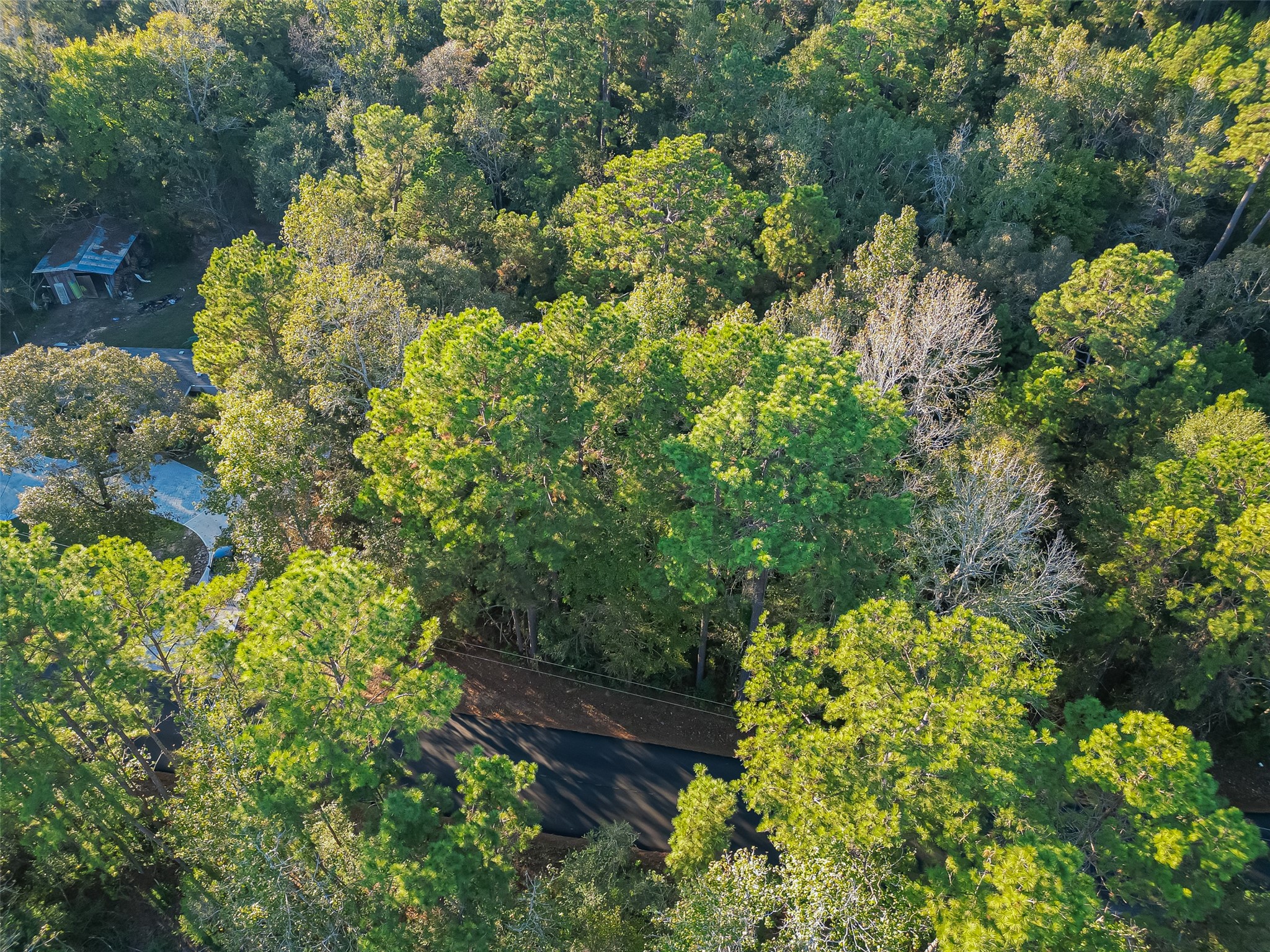 Tbd Lake Mount Pleasant Road Property Photo 8
