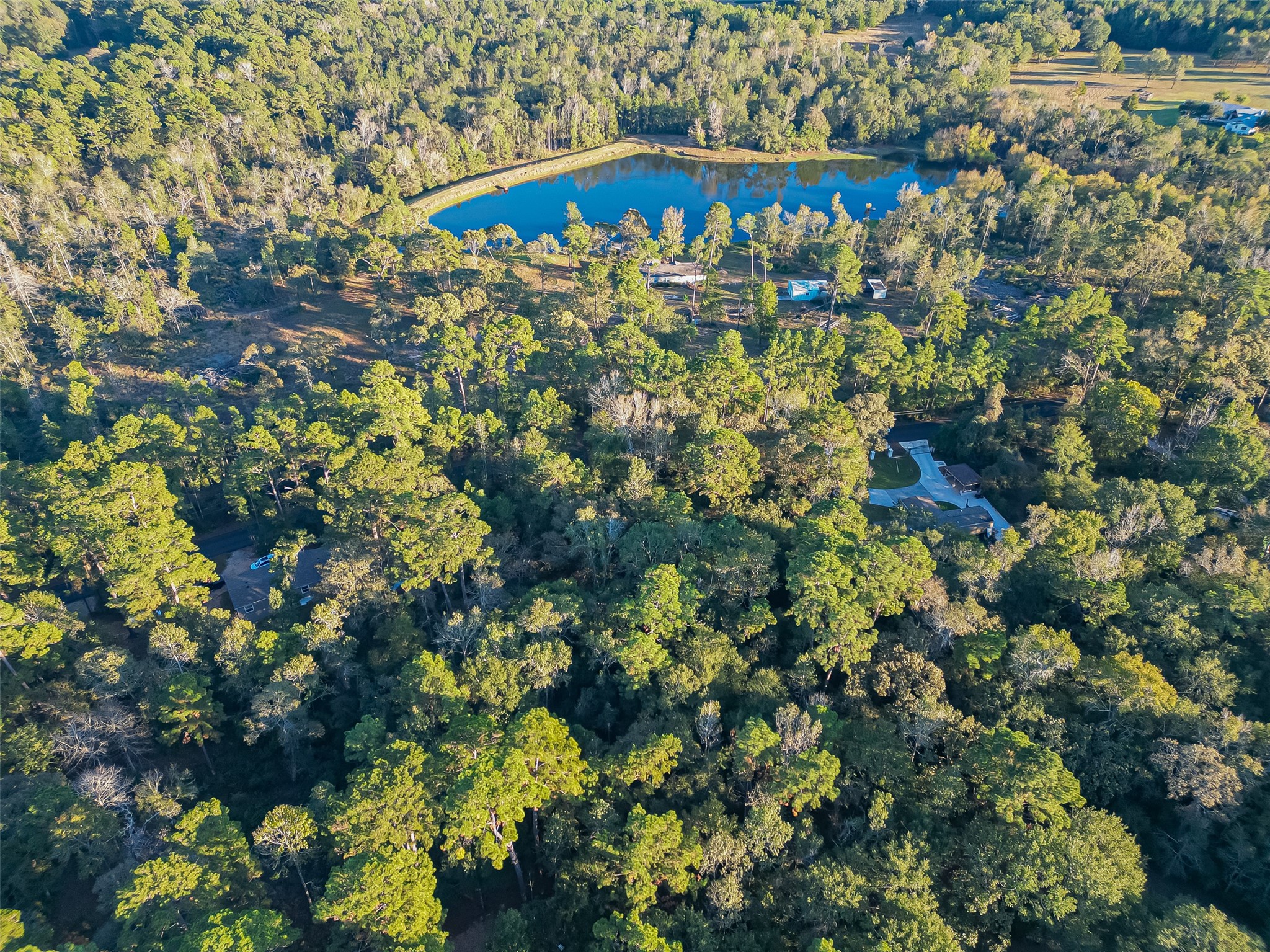 Tbd Lake Mount Pleasant Road Property Photo 9