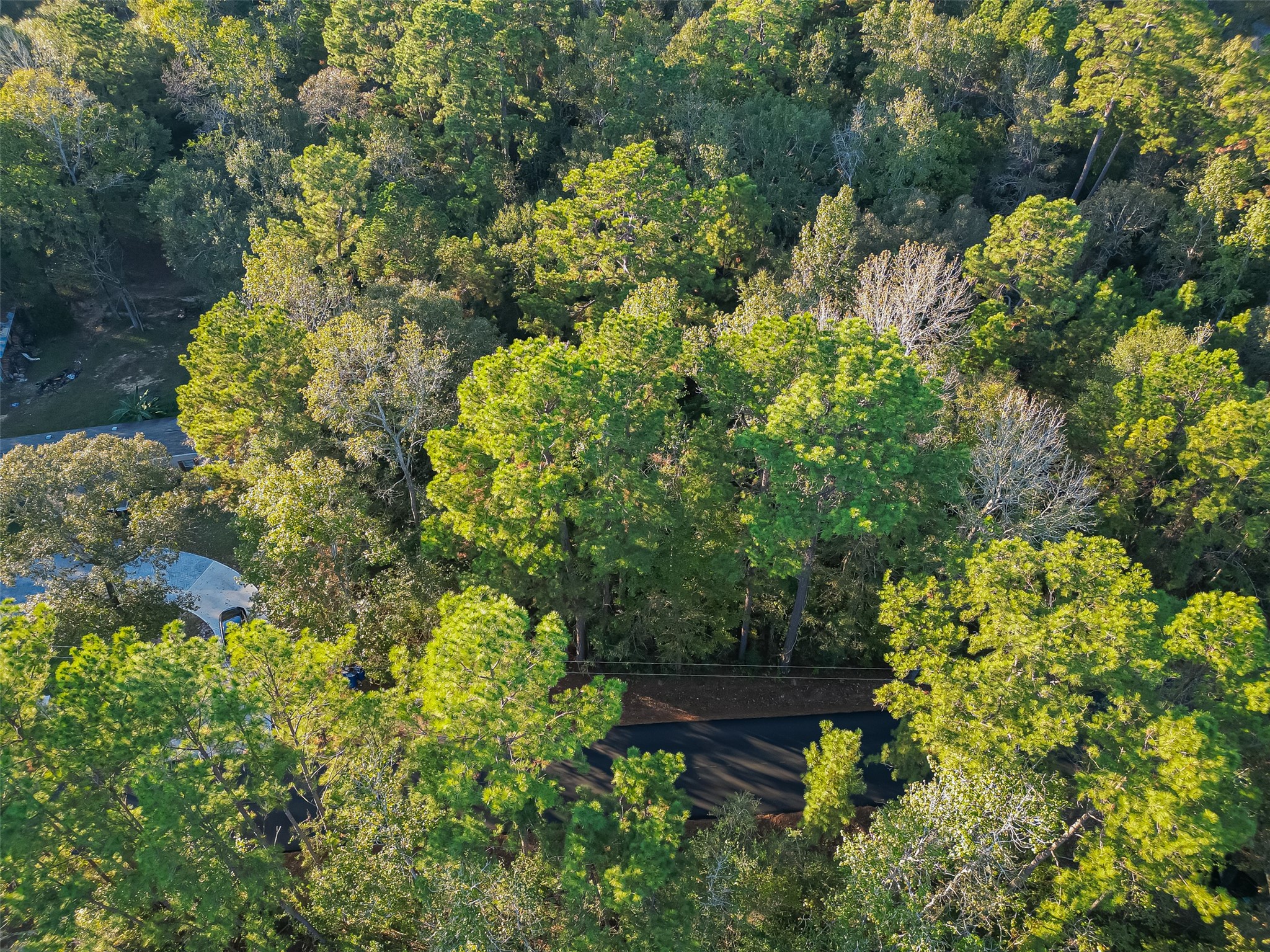 Tbd Lake Mount Pleasant Road Property Photo 12