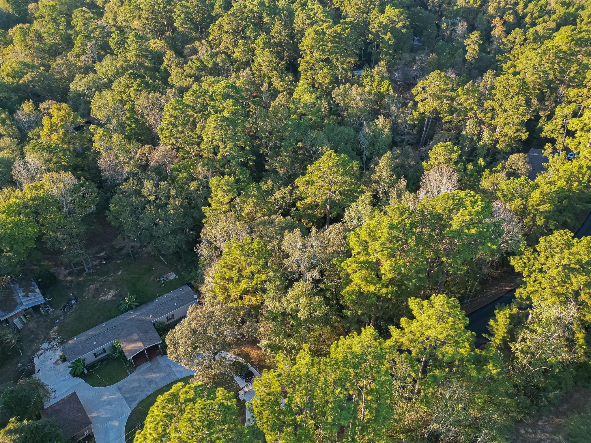 Tbd Lake Mount Pleasant Road Property Photo 13