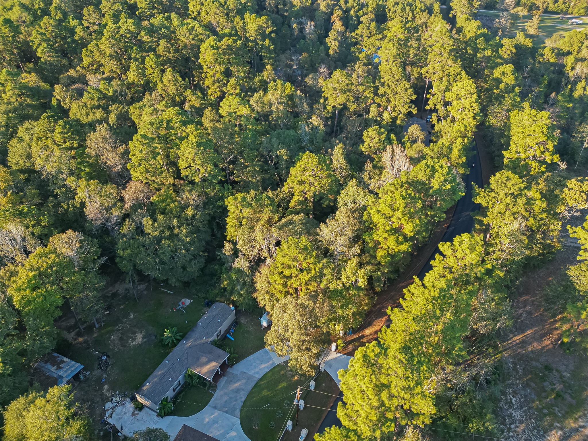 Tbd Lake Mount Pleasant Road Property Photo 14