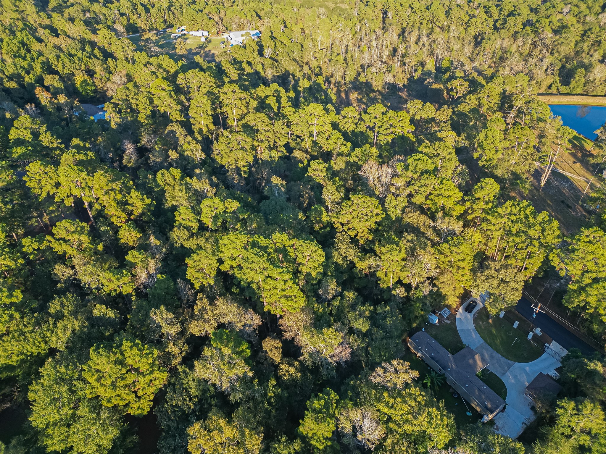Tbd Lake Mount Pleasant Road Property Photo 16