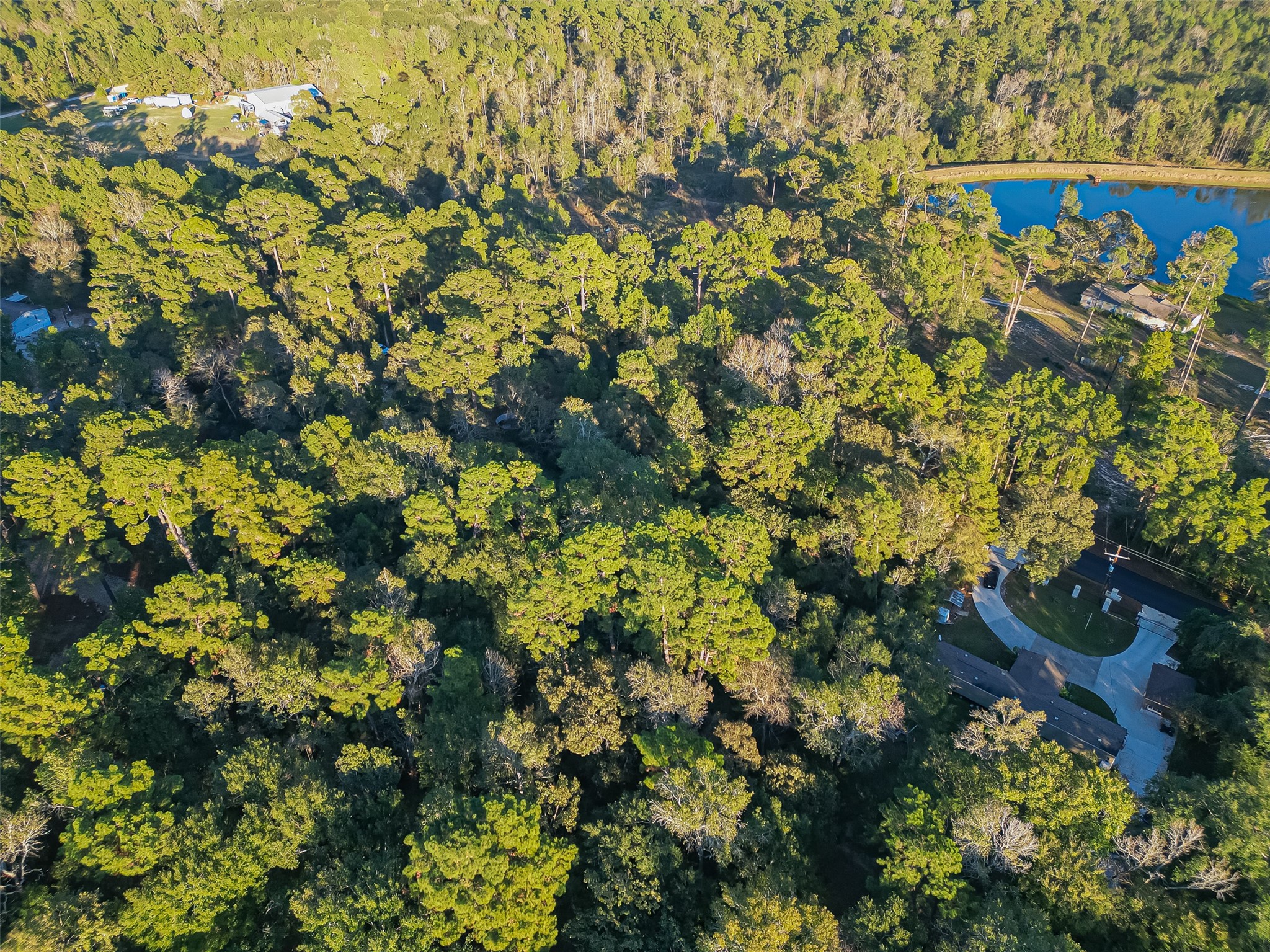 Tbd Lake Mount Pleasant Road Property Photo 17