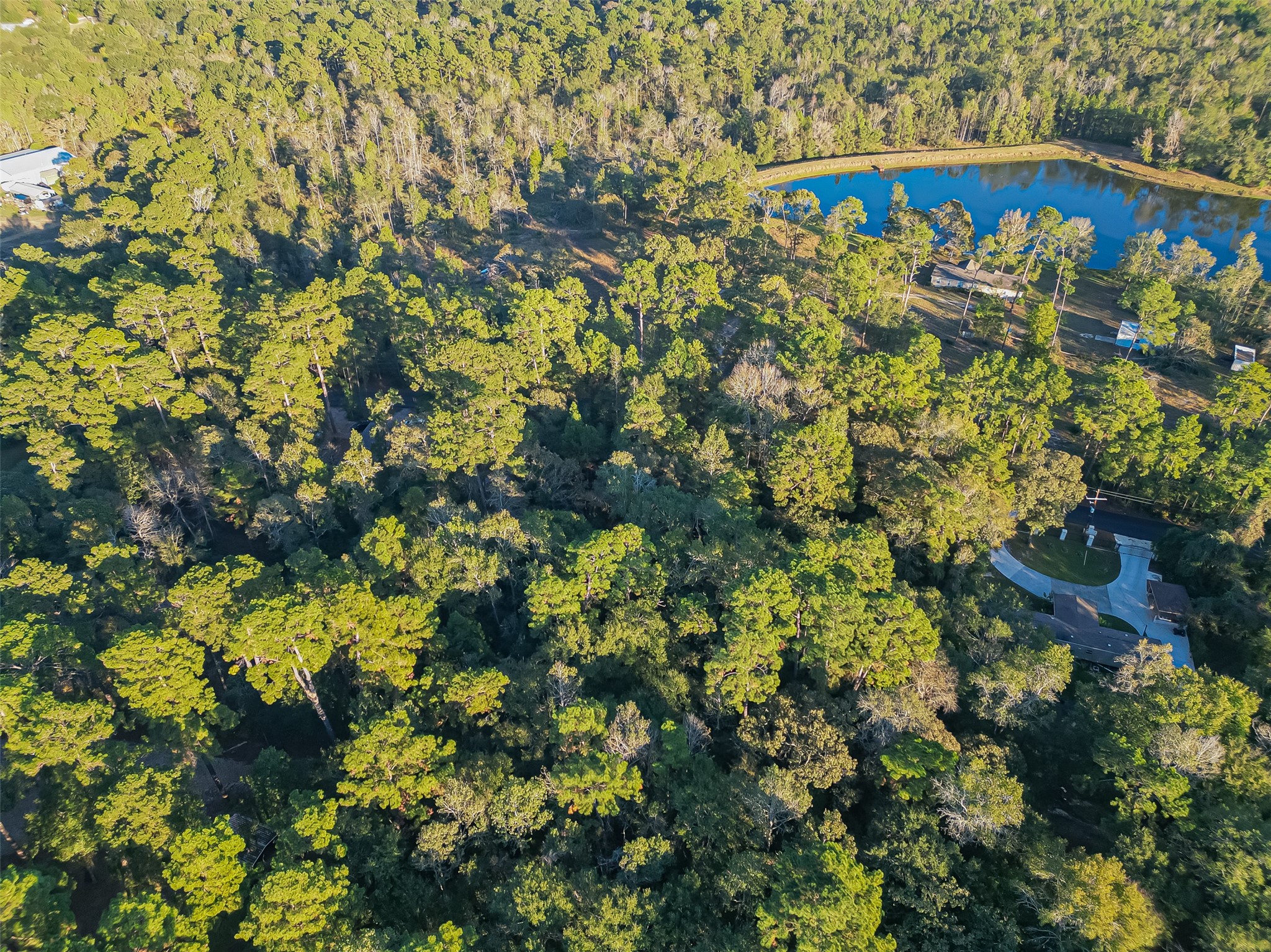Tbd Lake Mount Pleasant Road Property Photo 18
