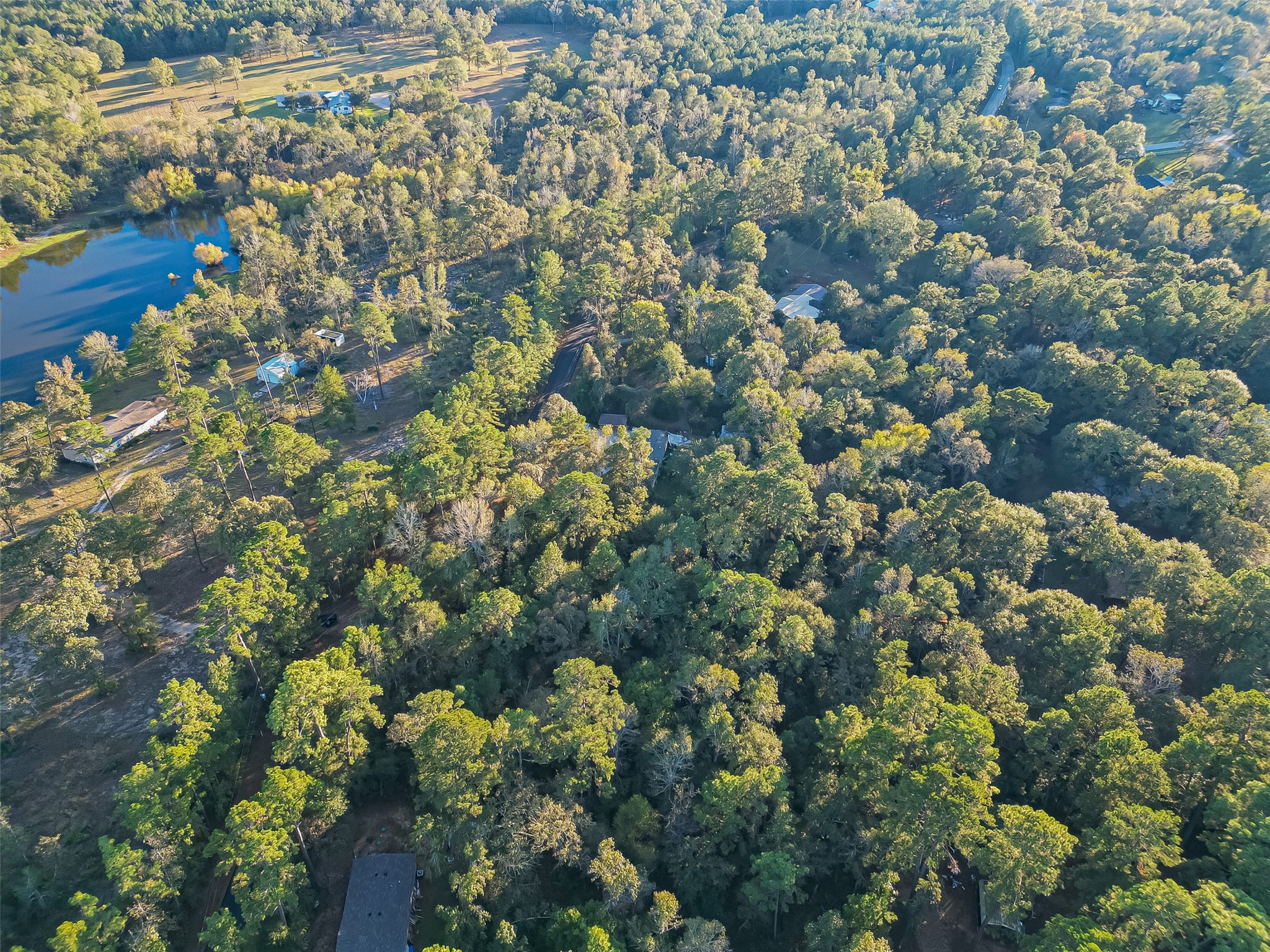 Tbd Lake Mount Pleasant Road Property Photo 19