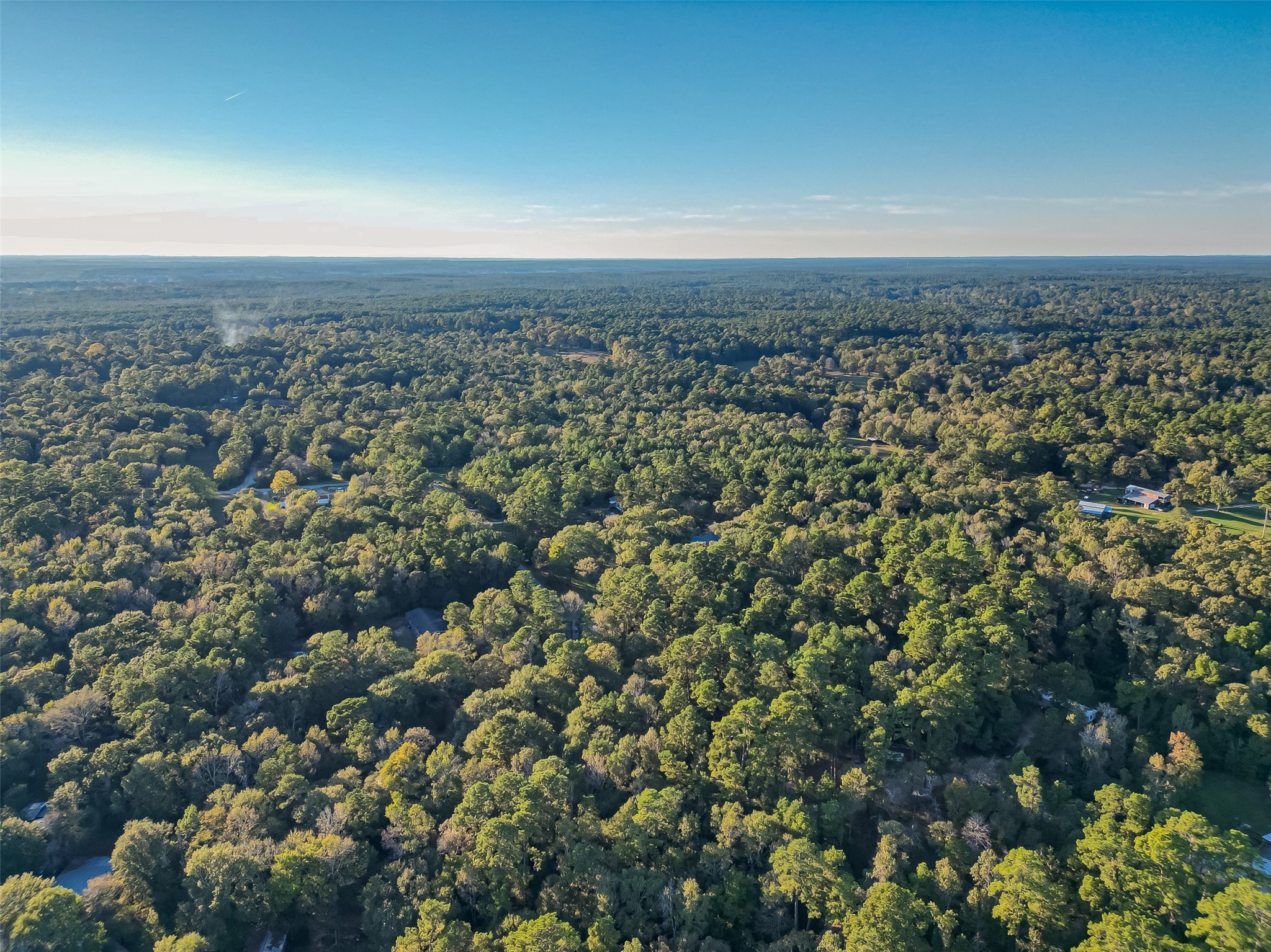 Tbd Lake Mount Pleasant Road Property Photo 21