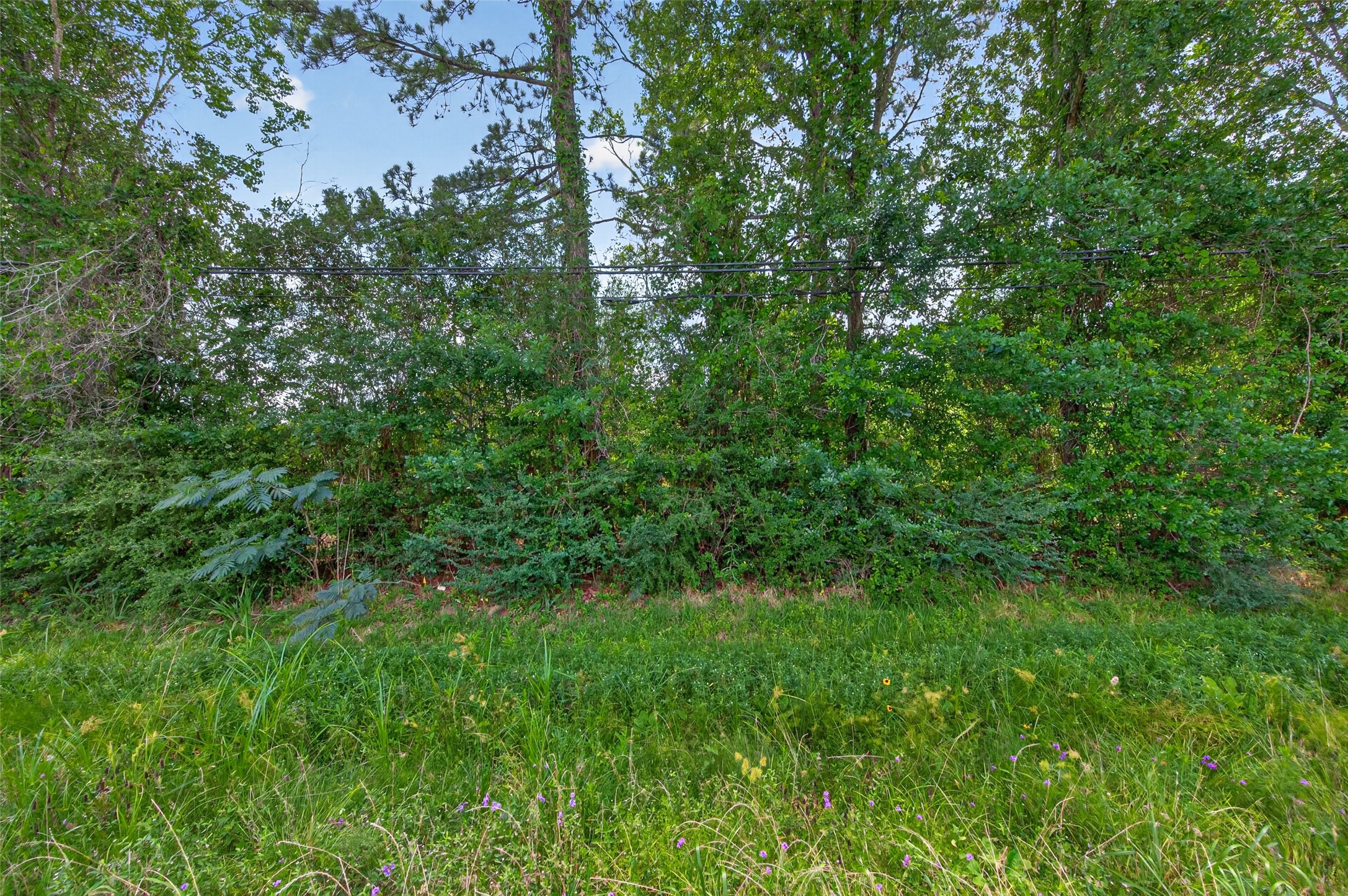 1370 Fm 3083 Road Property Photo 21