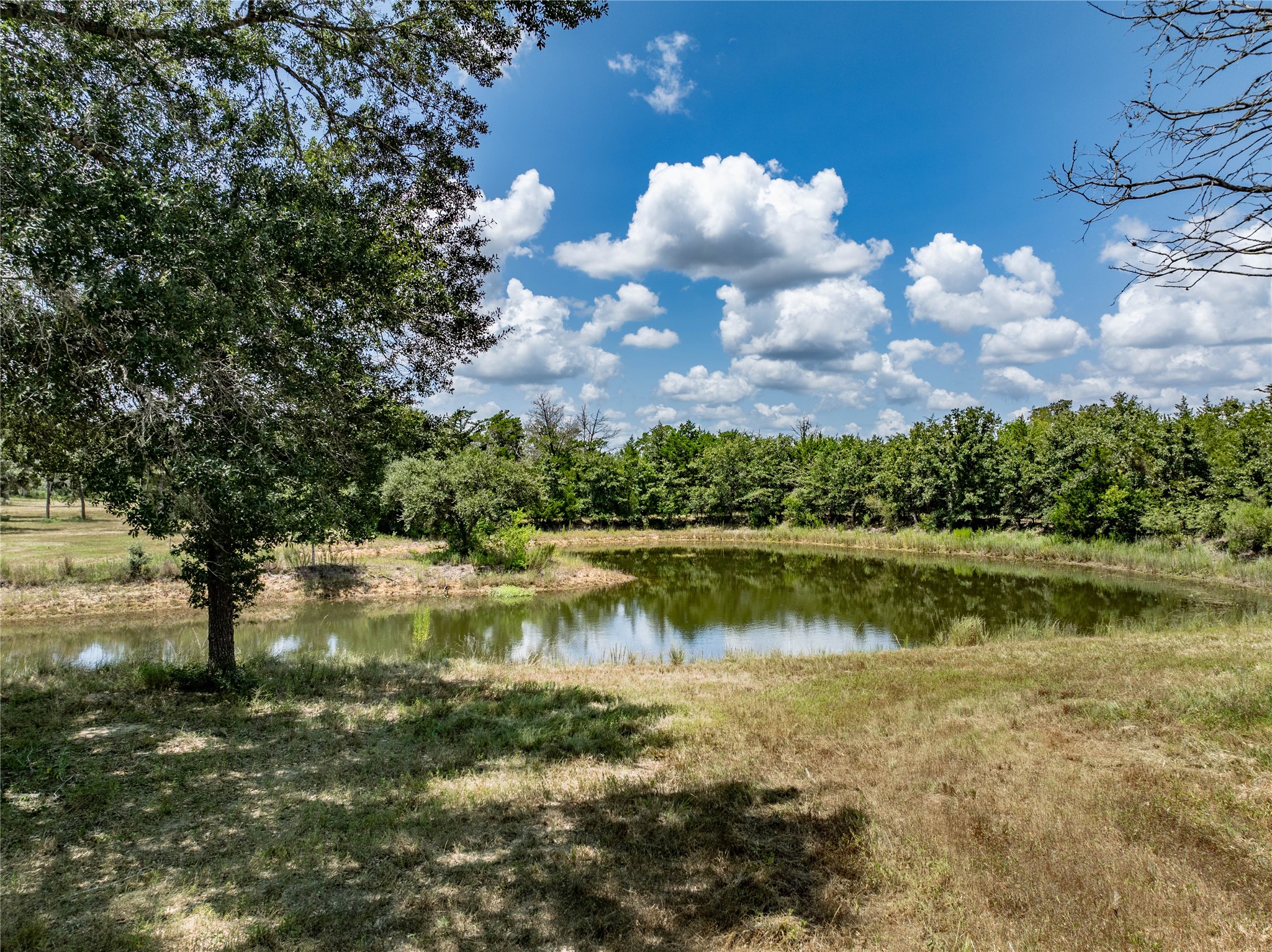 1126 Abel Road Property Photo 4