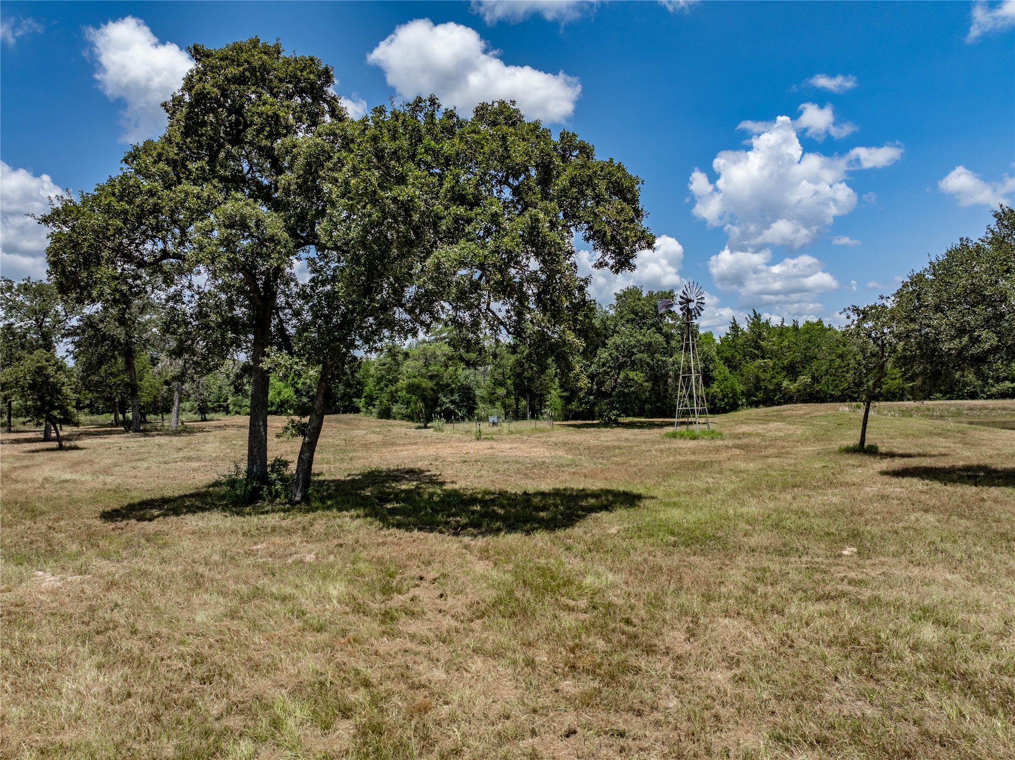 1126 Abel Road Property Photo 8