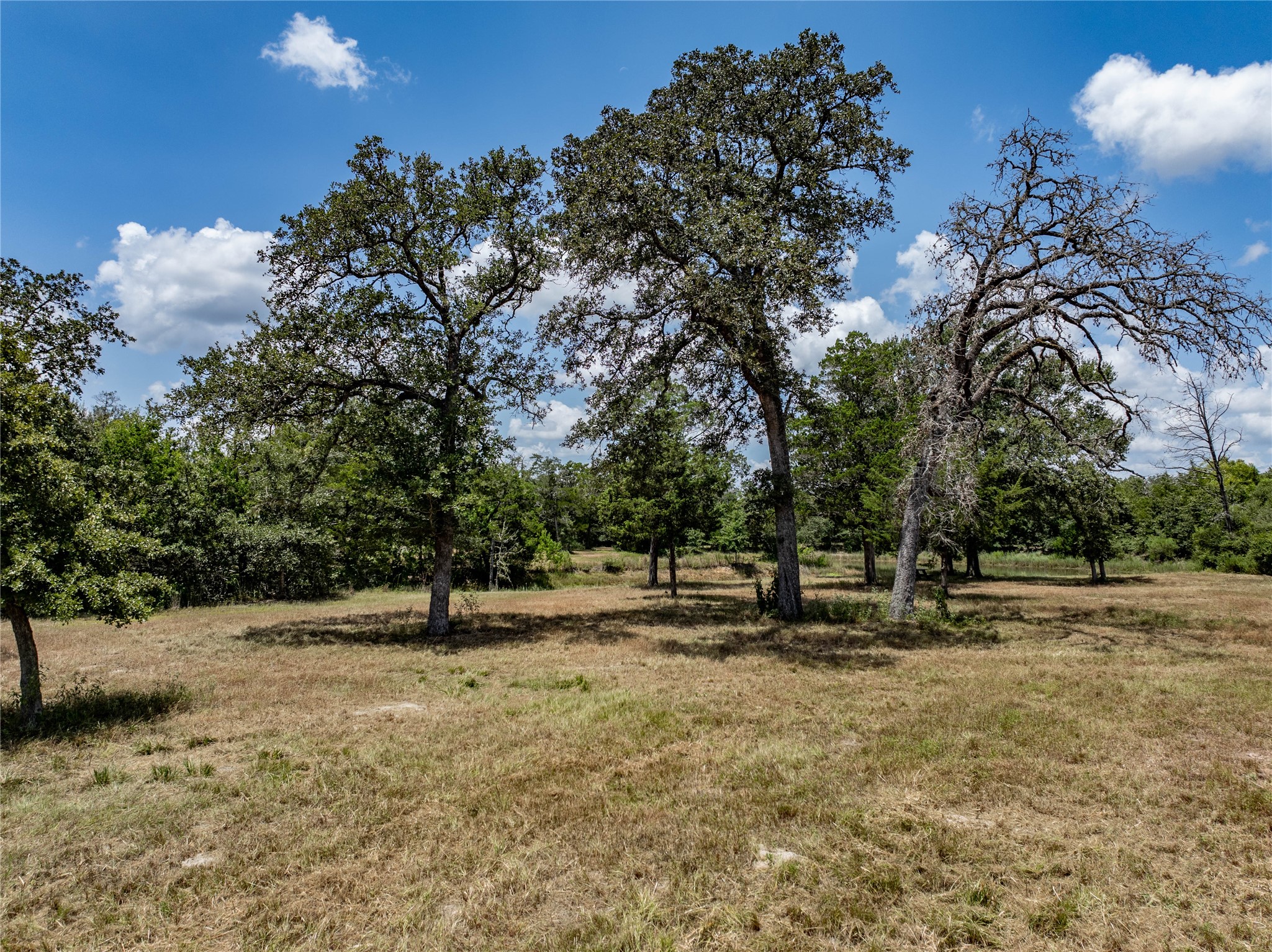 1126 Abel Road Property Photo 10