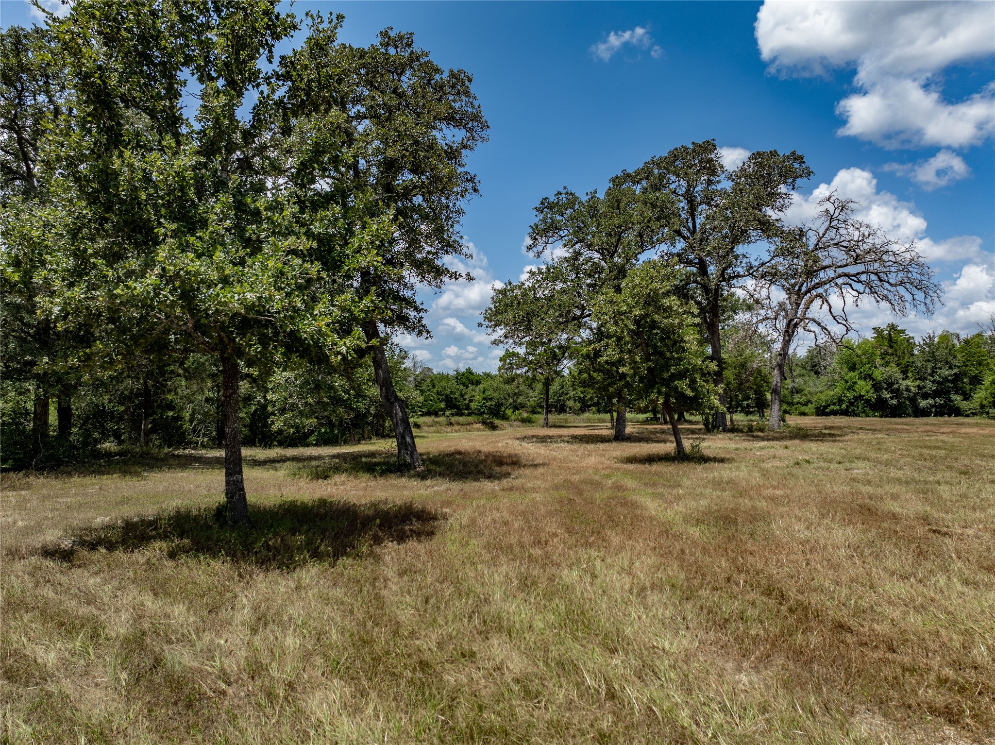 1126 Abel Road Property Photo 15