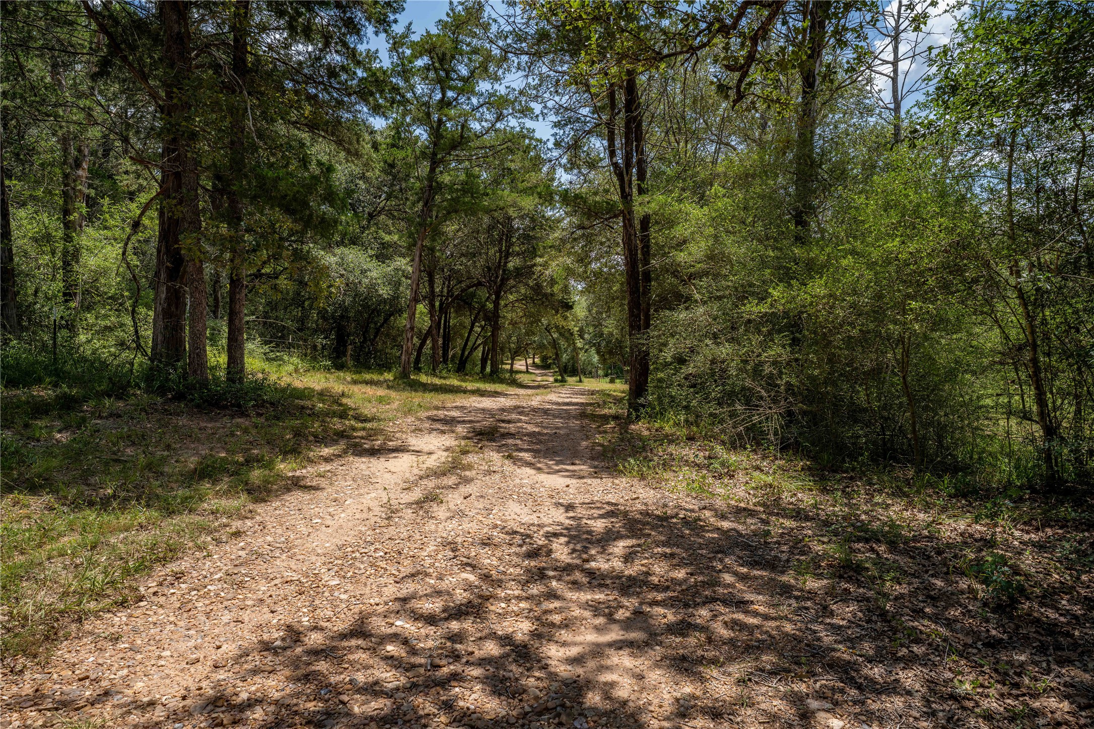1126 Abel Road Property Photo 16