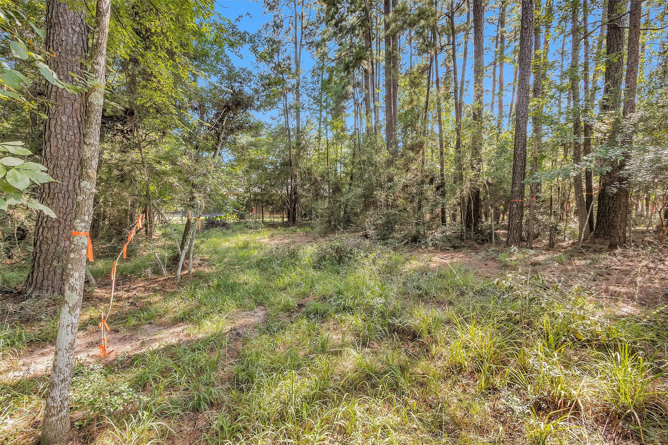 1505 Cheyenne Loop Property Photo 3