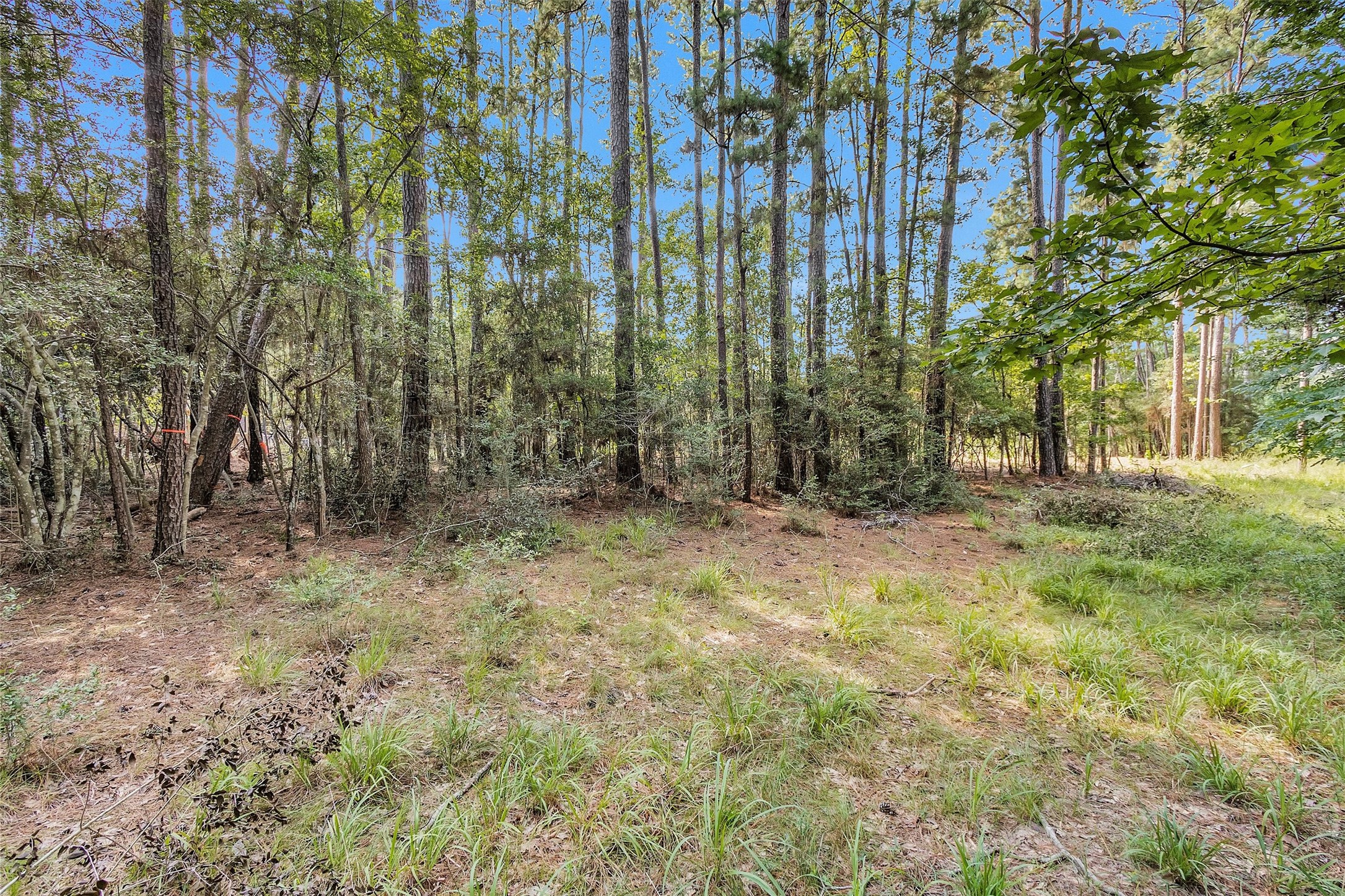 1505 Cheyenne Loop Property Photo 4