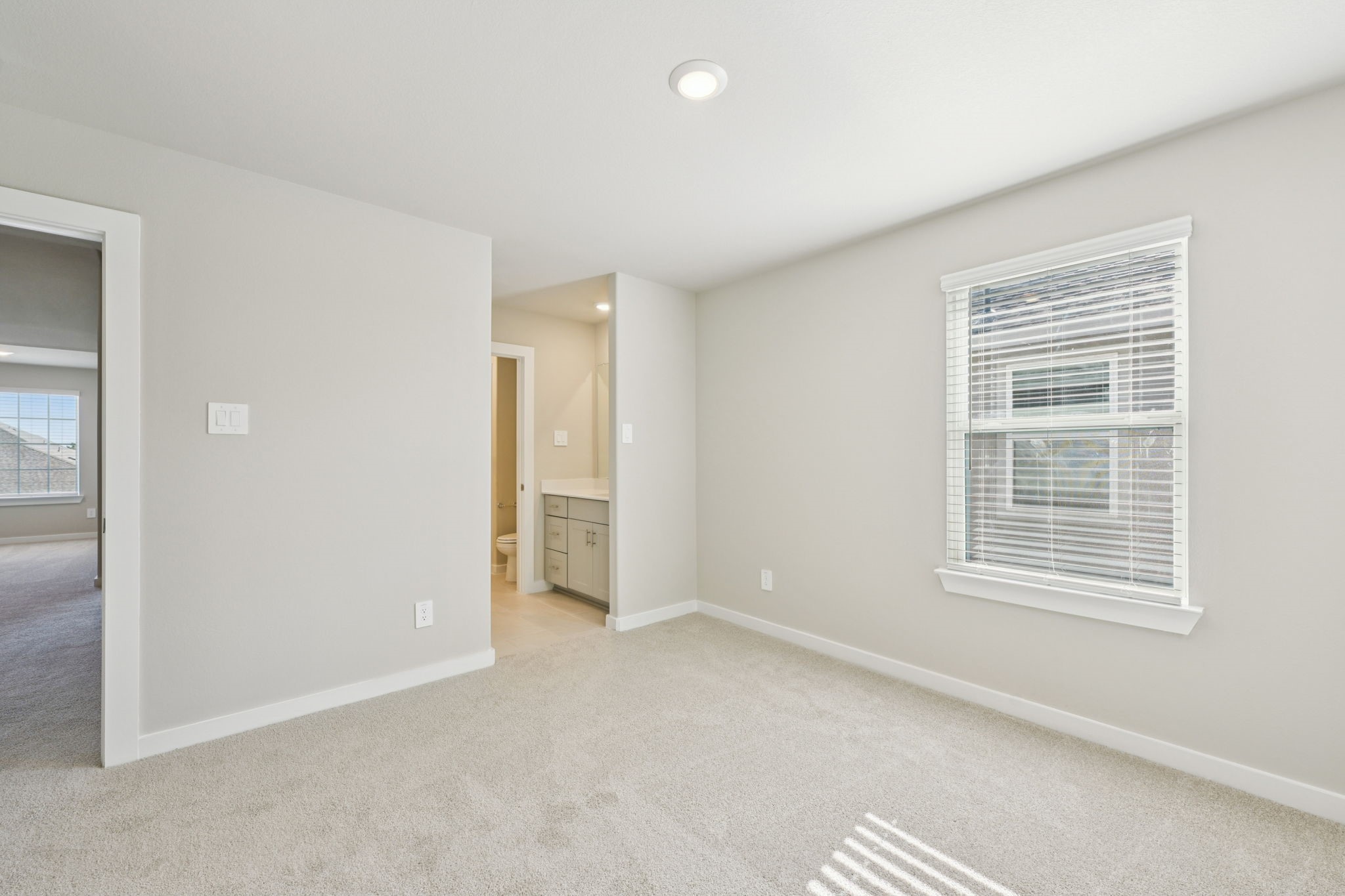 5209 Redbud Valley Drive Property Photo 29