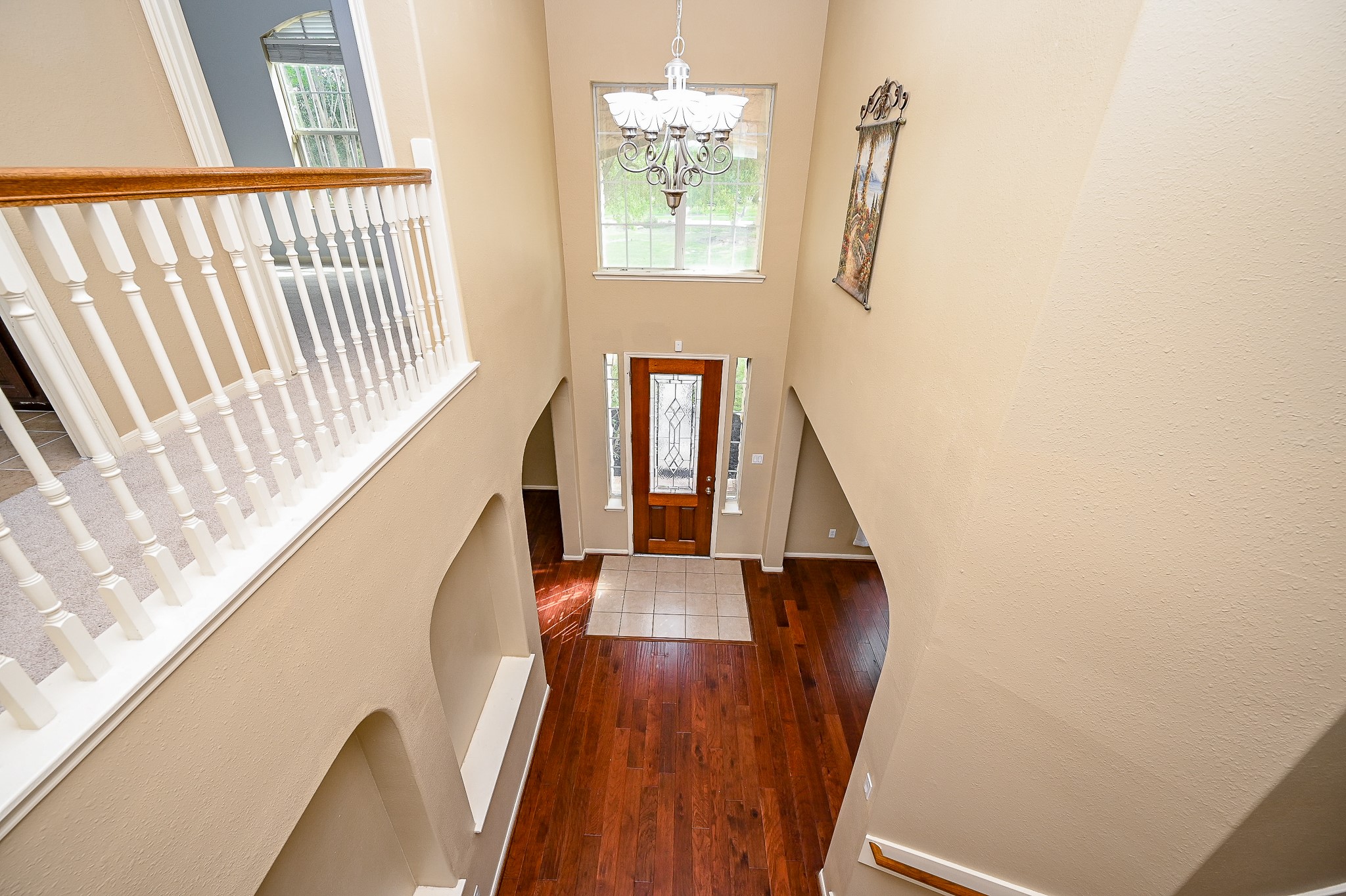 7203 Fiesta Flower Property Photo 7