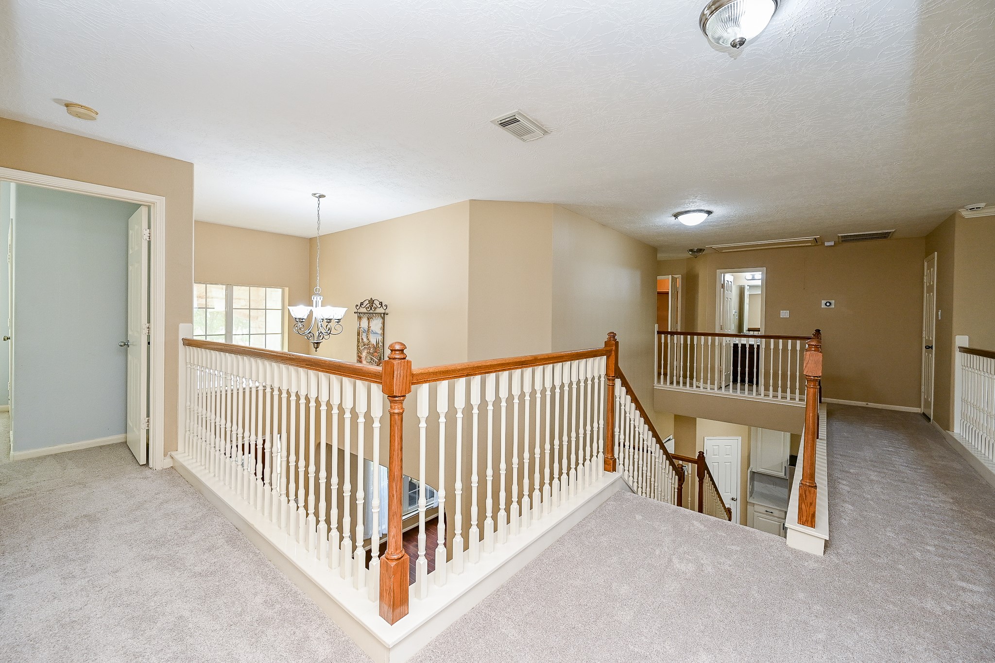 7203 Fiesta Flower Property Photo 34