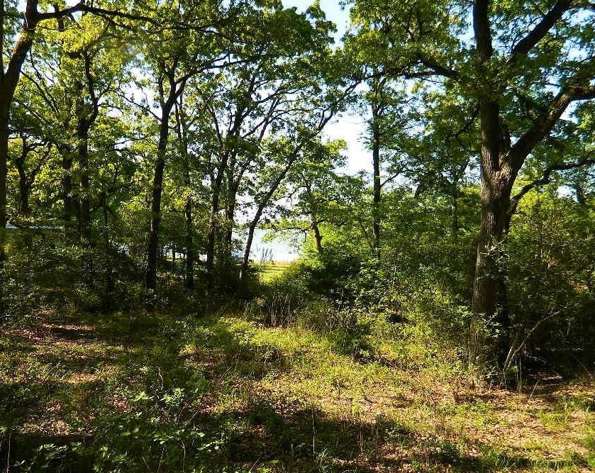 Tbd Country Road 371 Property Photo 3