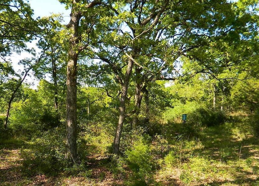 Tbd Country Road 371 Property Photo 4
