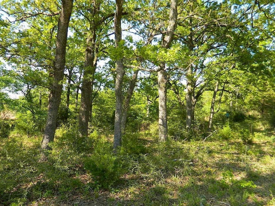 Tbd Country Road 371 Property Photo 5