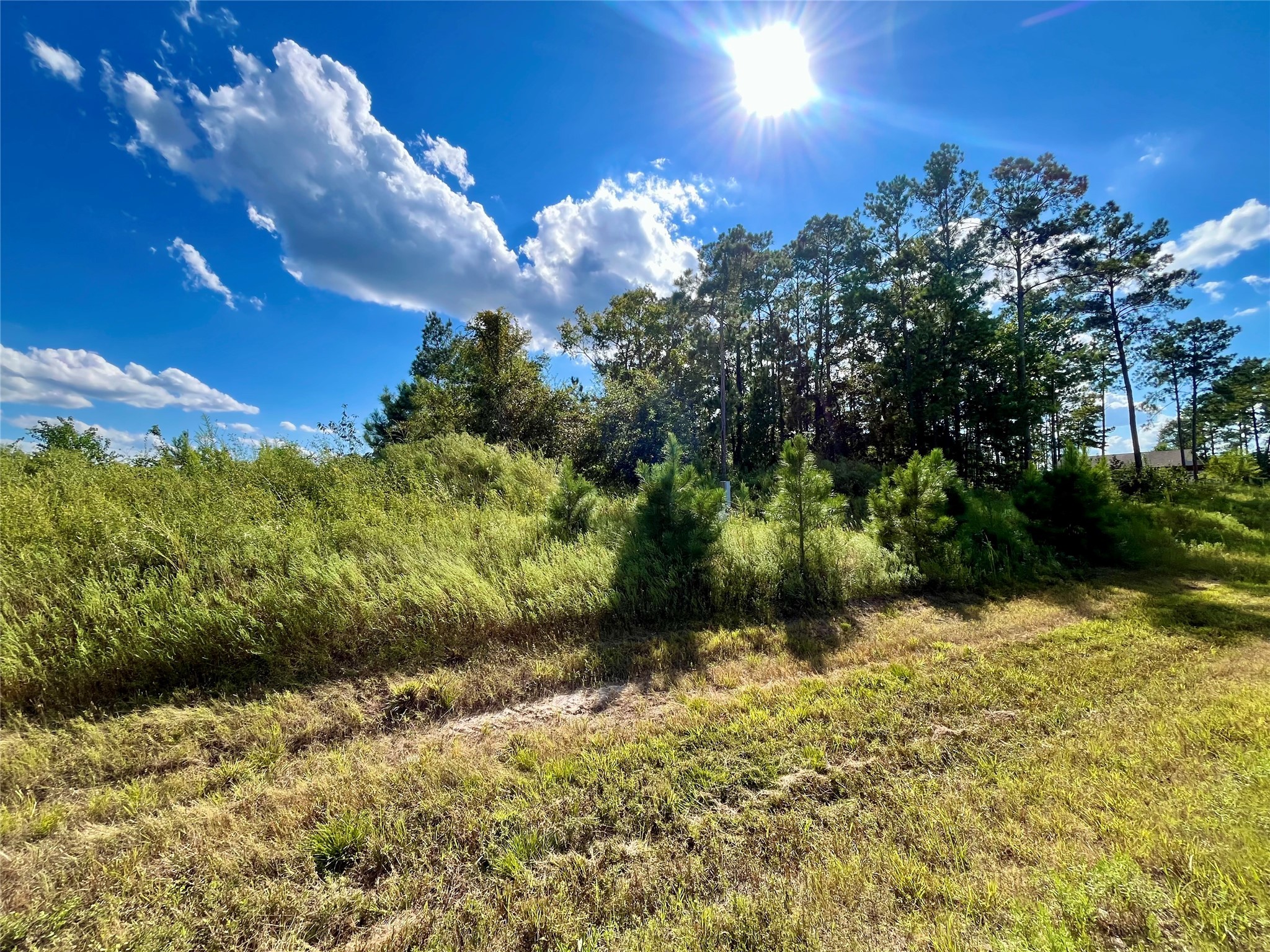 164 Road 5263b Property Photo 1