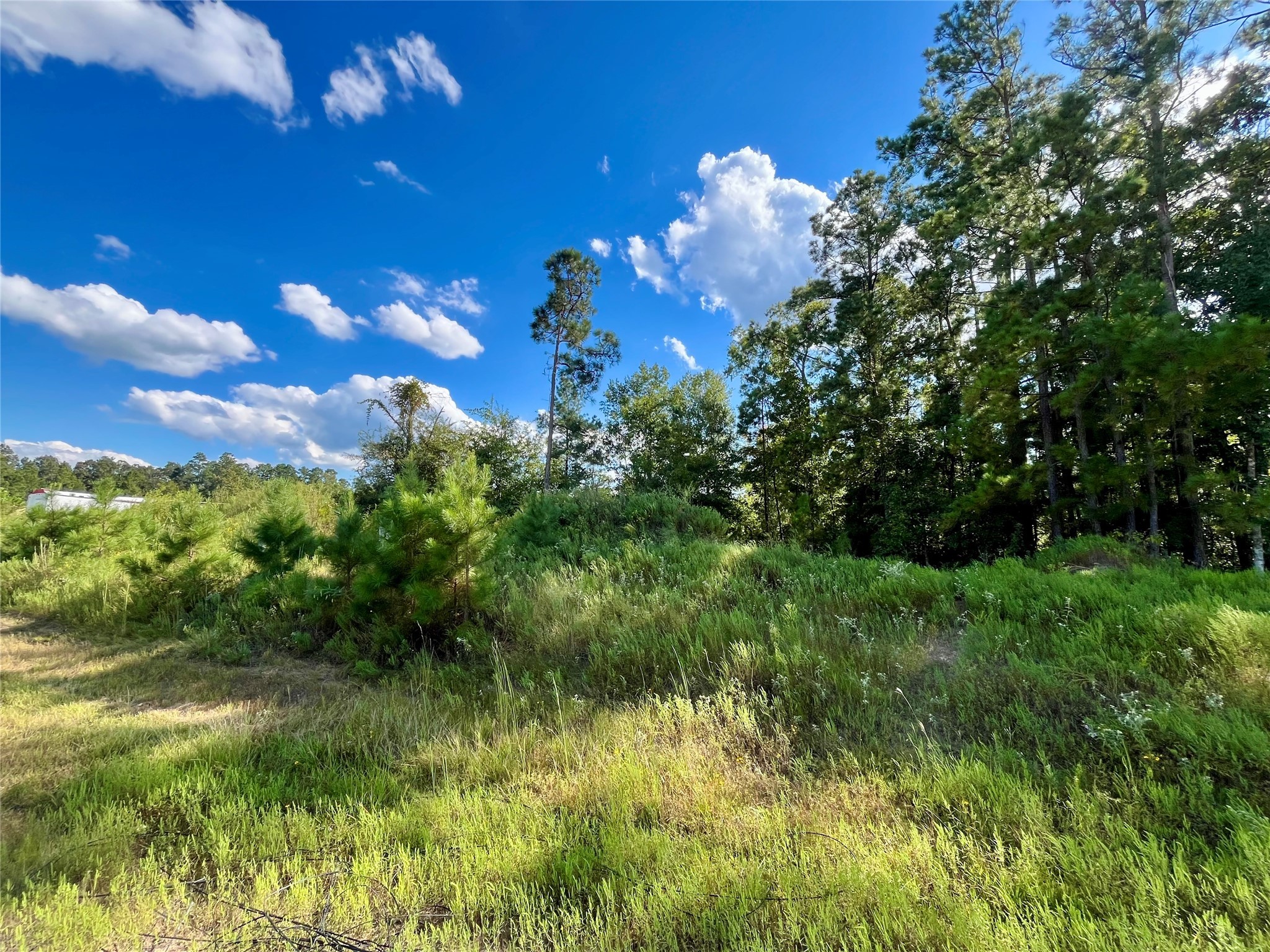 164 Road 5263b Property Photo 2