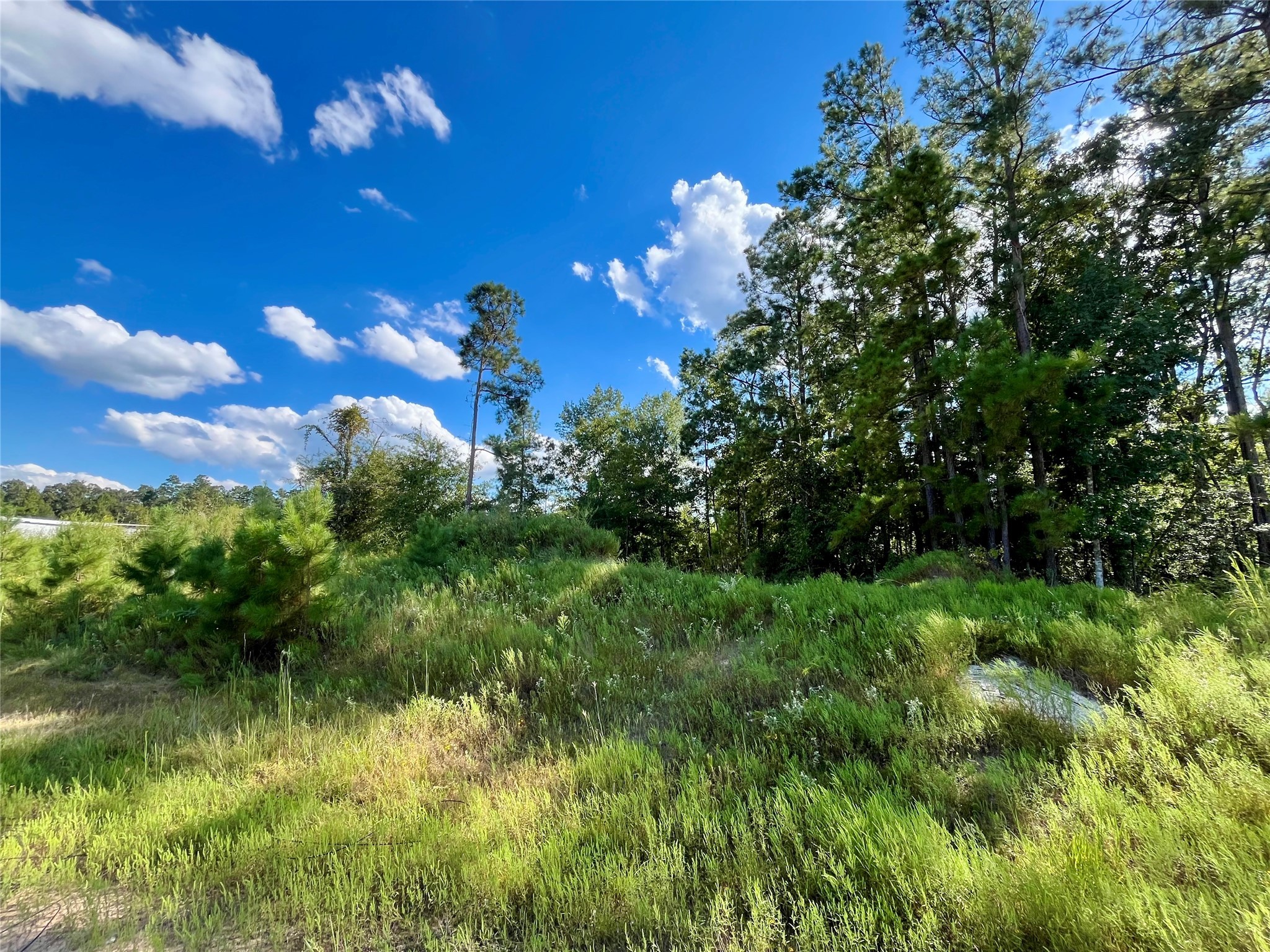 164 Road 5263b Property Photo 3
