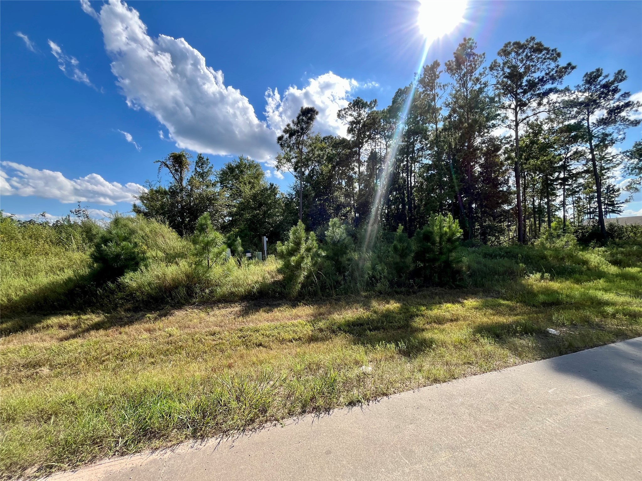 164 Road 5263b Property Photo 5